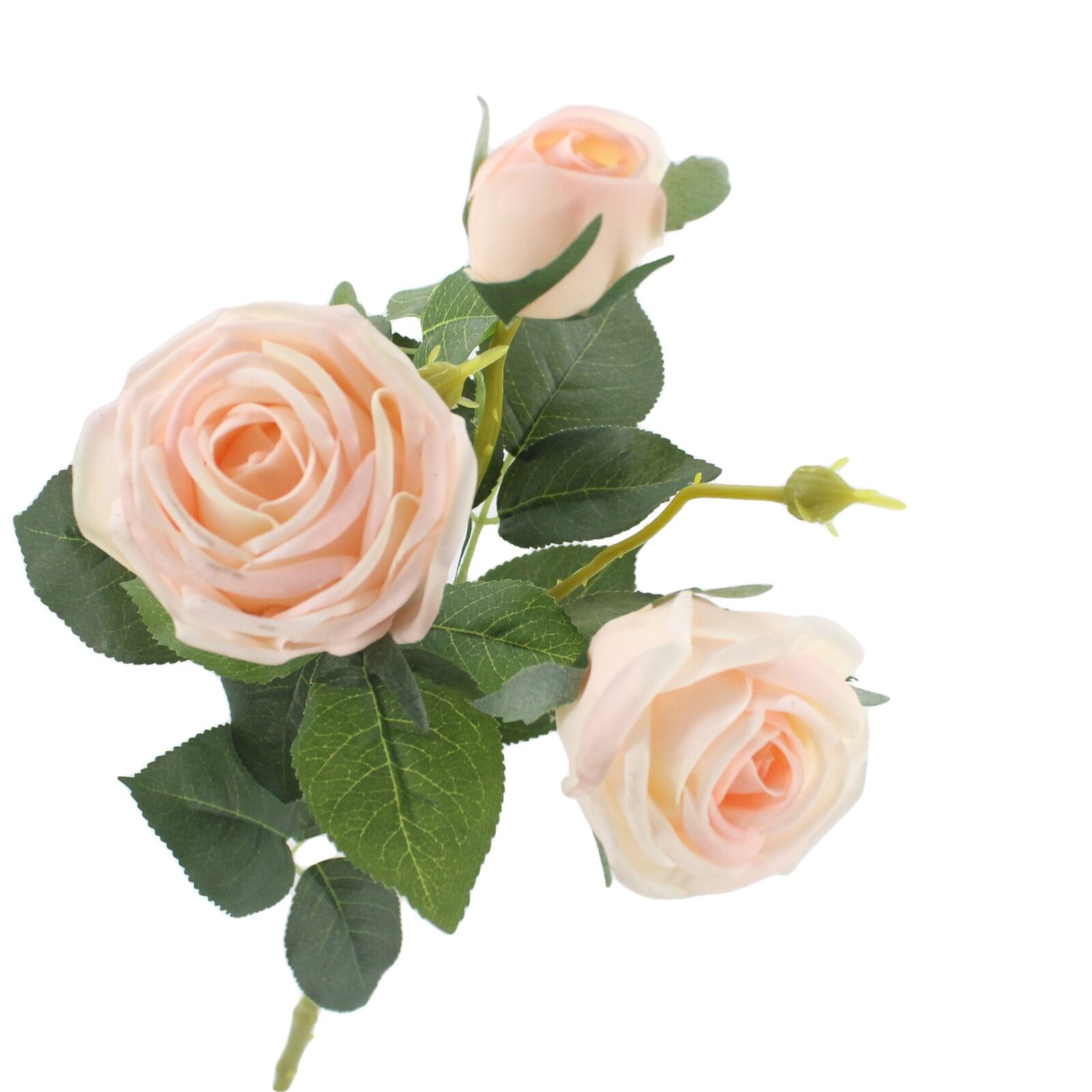 Chic style, romantic aesthetic, floral design and wedding decoration can be used.