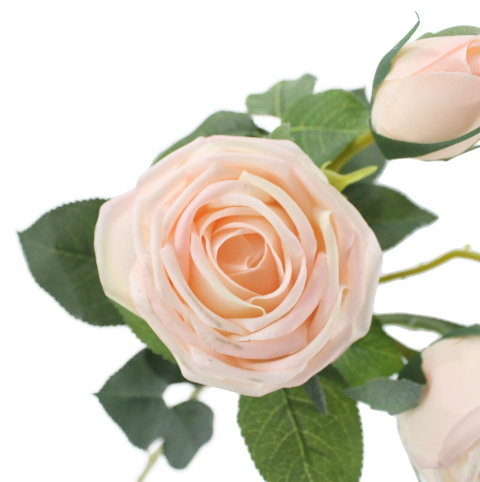 Chic style, romantic aesthetic, floral design and wedding decoration can be used.