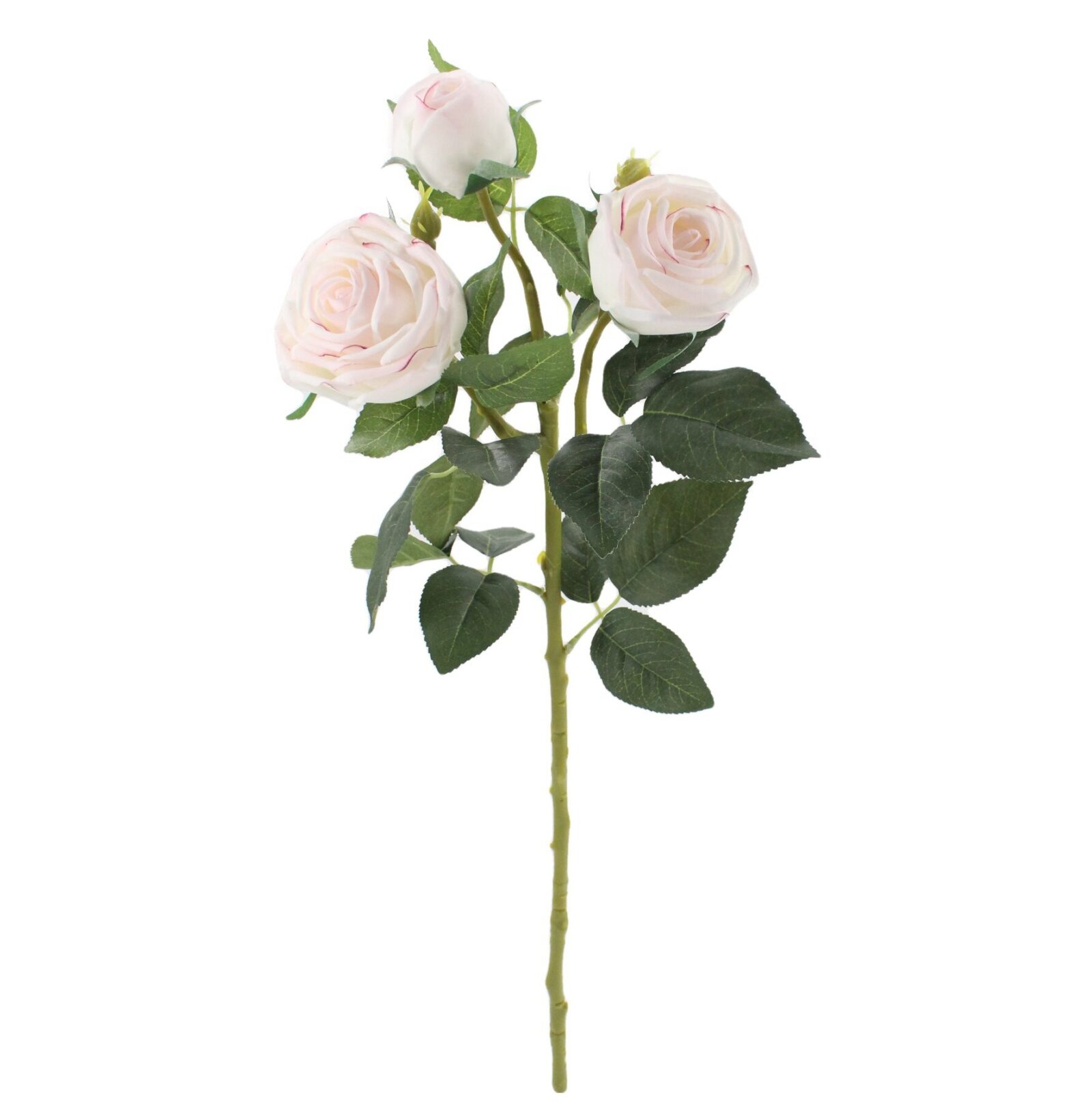 Chic style, romantic aesthetic, floral design and wedding decoration can be used.