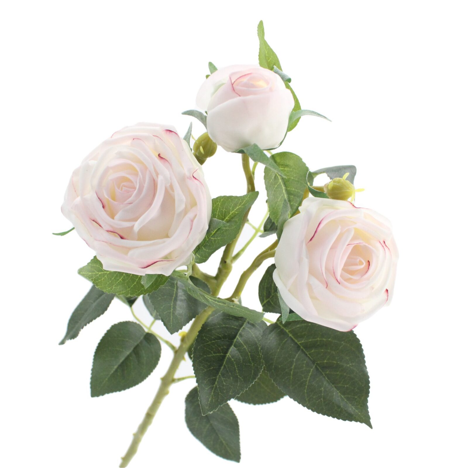 Chic style, romantic aesthetic, floral design and wedding decoration can be used.