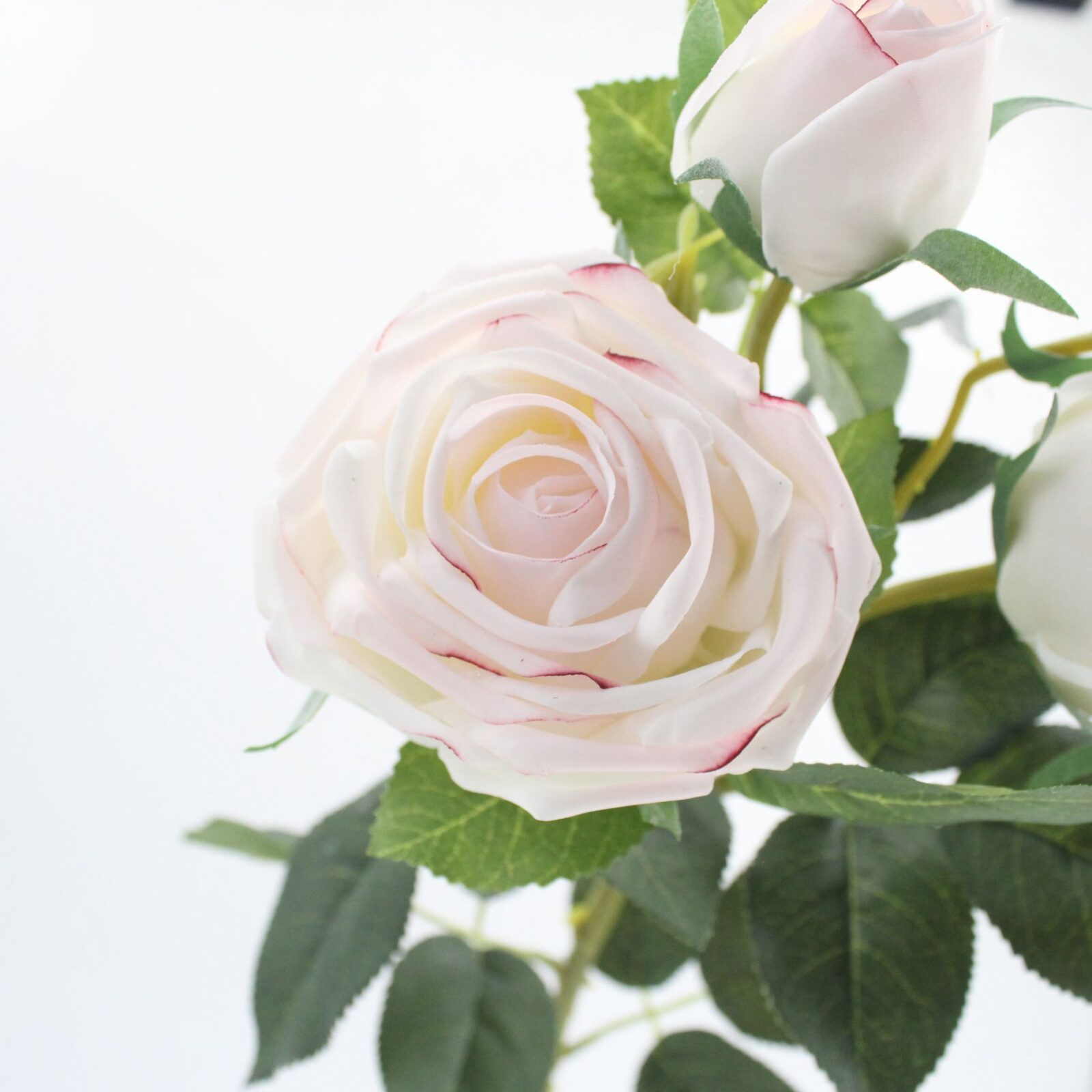 Chic style, romantic aesthetic, floral design and wedding decoration can be used.