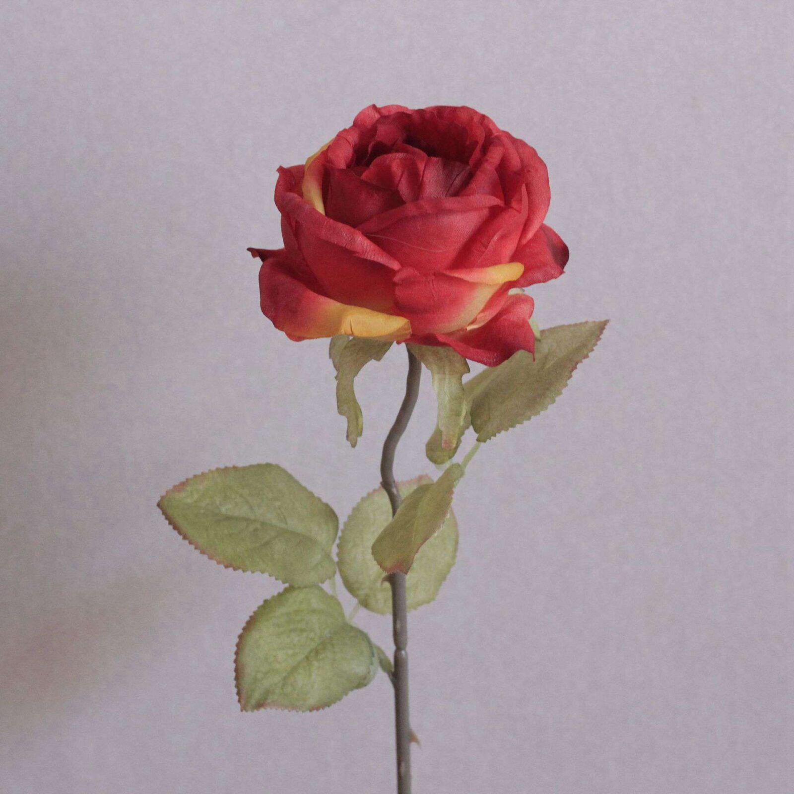 Burnt Edge Roses Artificial Flowers