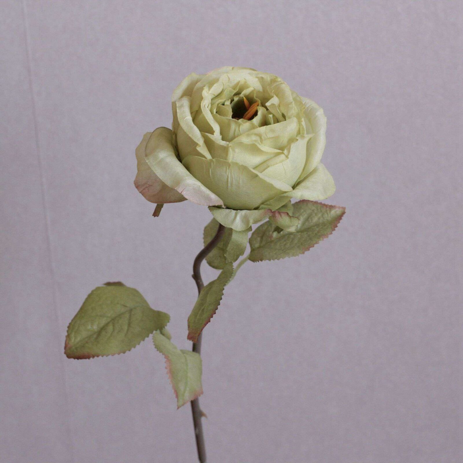 Burnt Edge Roses Artificial Flowers