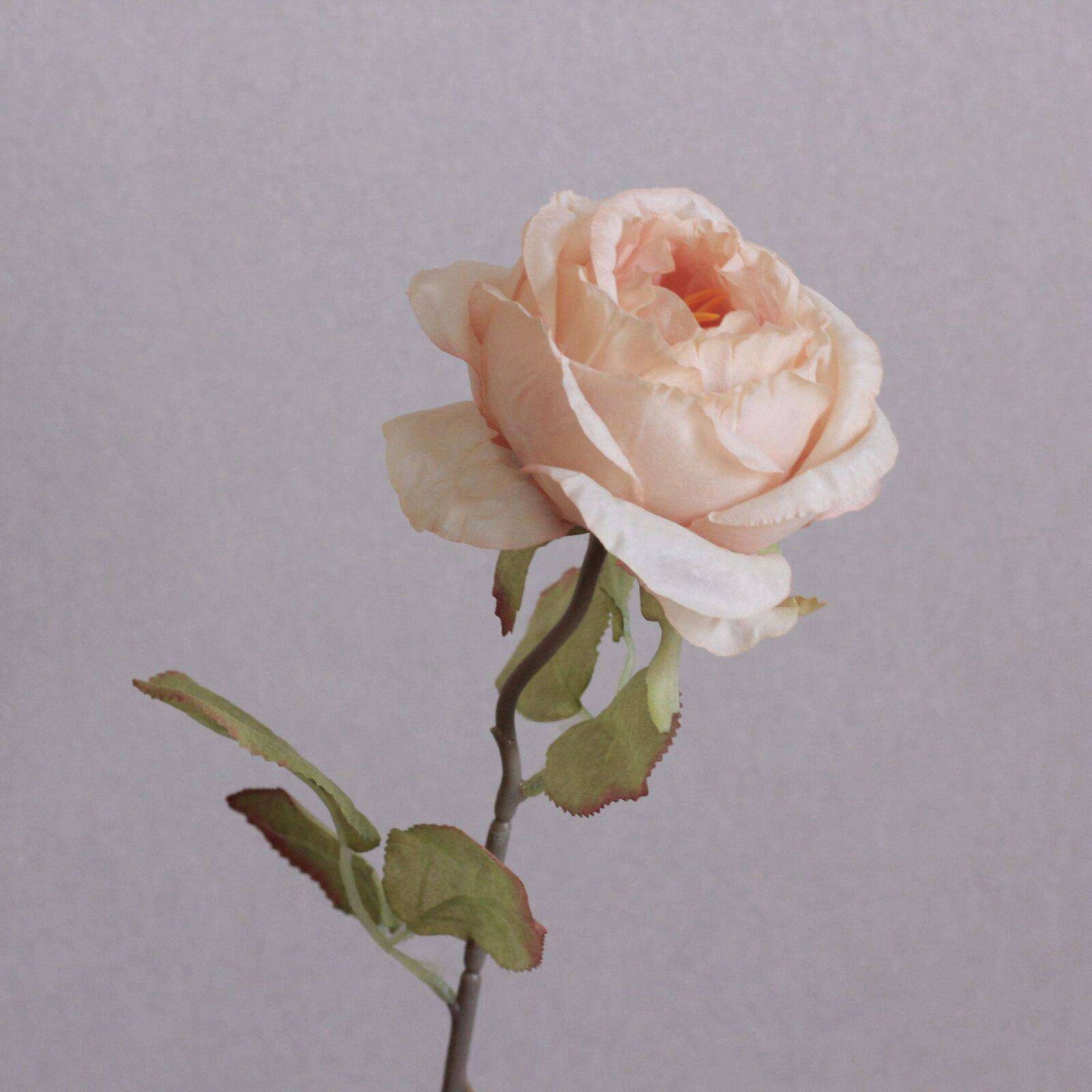 Burnt Edge Roses Artificial Flowers