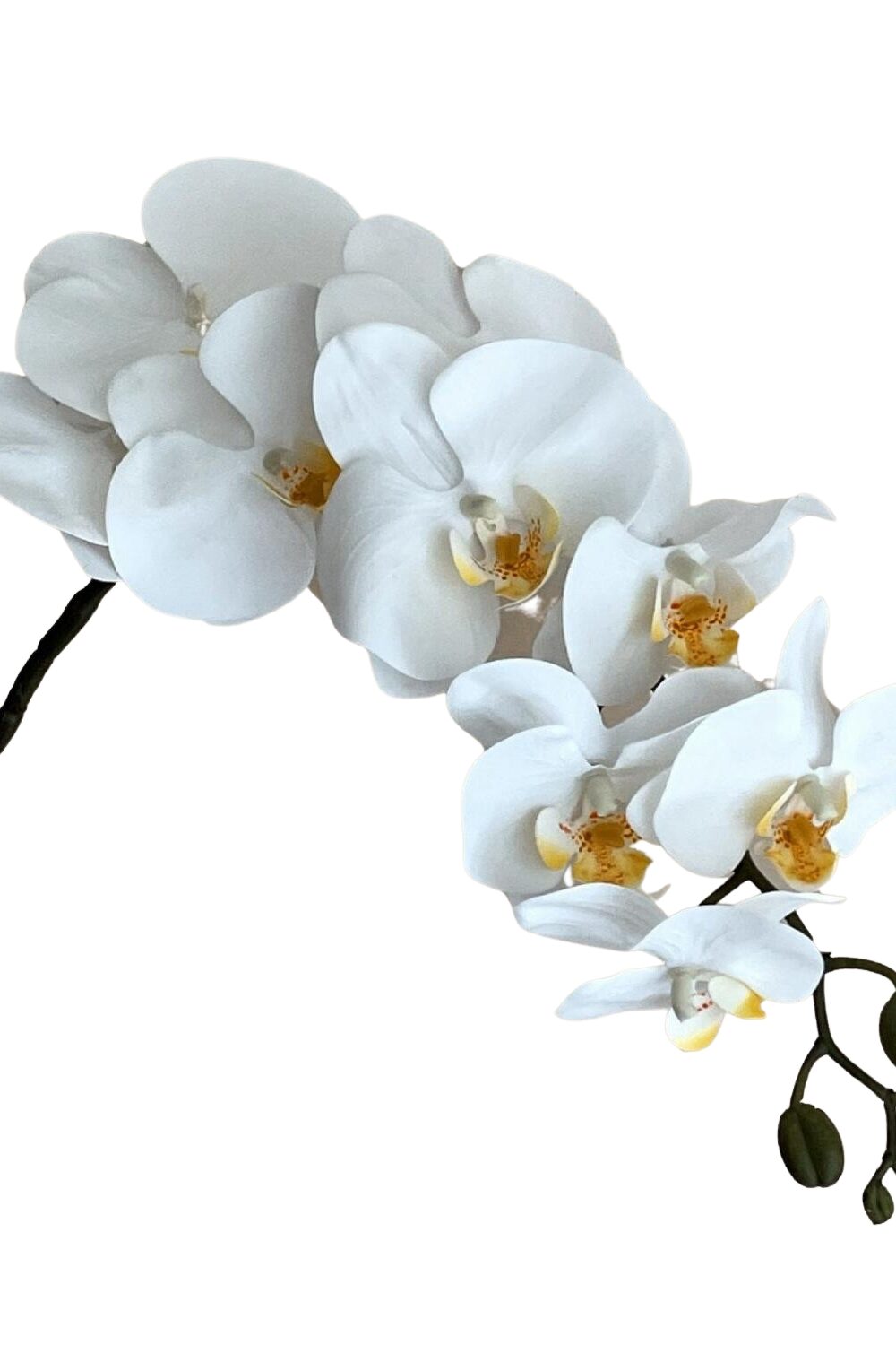 Artificial Phalaenopsis Orchid - 9 Heads