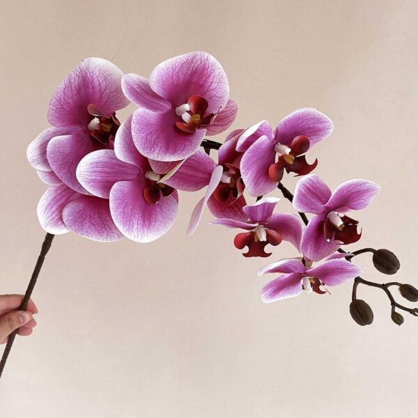 Artificial Phalaenopsis Orchid - 9 Heads