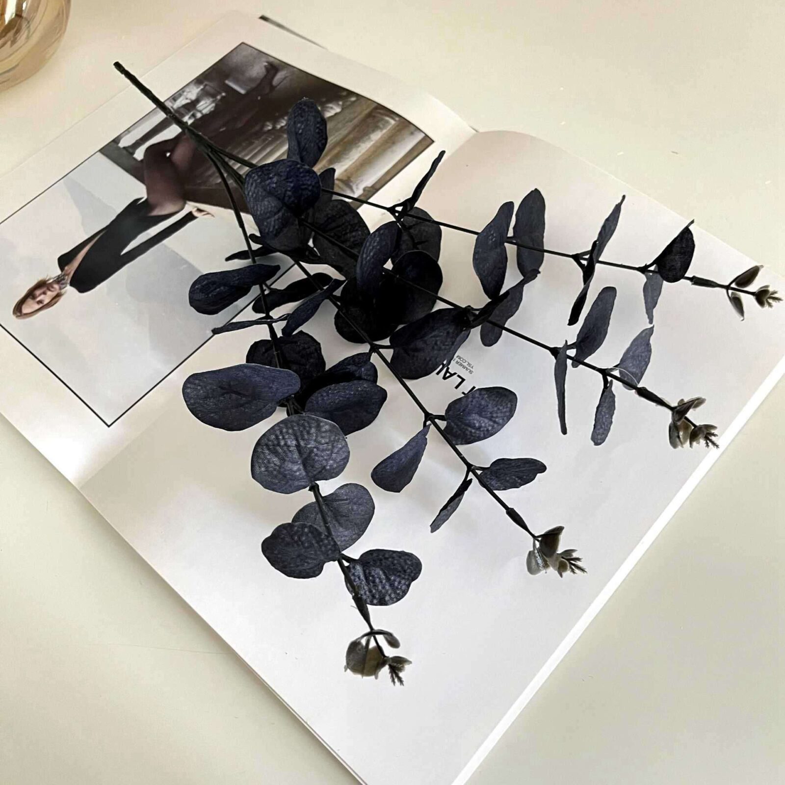 Black Eucalyptus Bush - Image 3