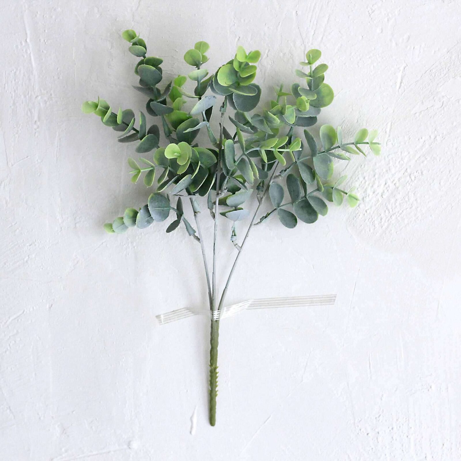 Green Eucalyptus Bush - Image 4