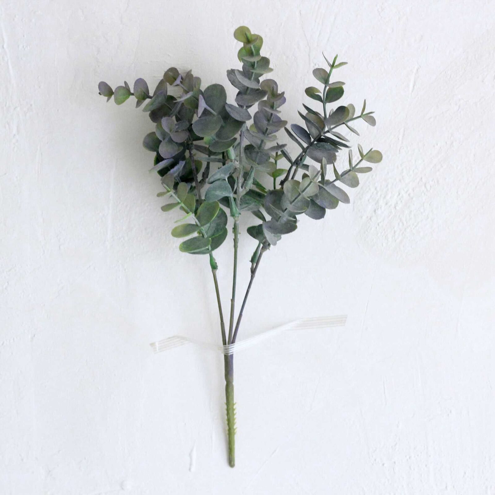Green Eucalyptus Bush - Image 2