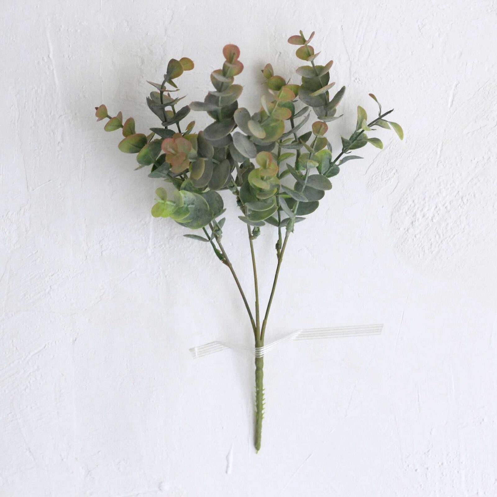 Green Eucalyptus Bush - Image 5