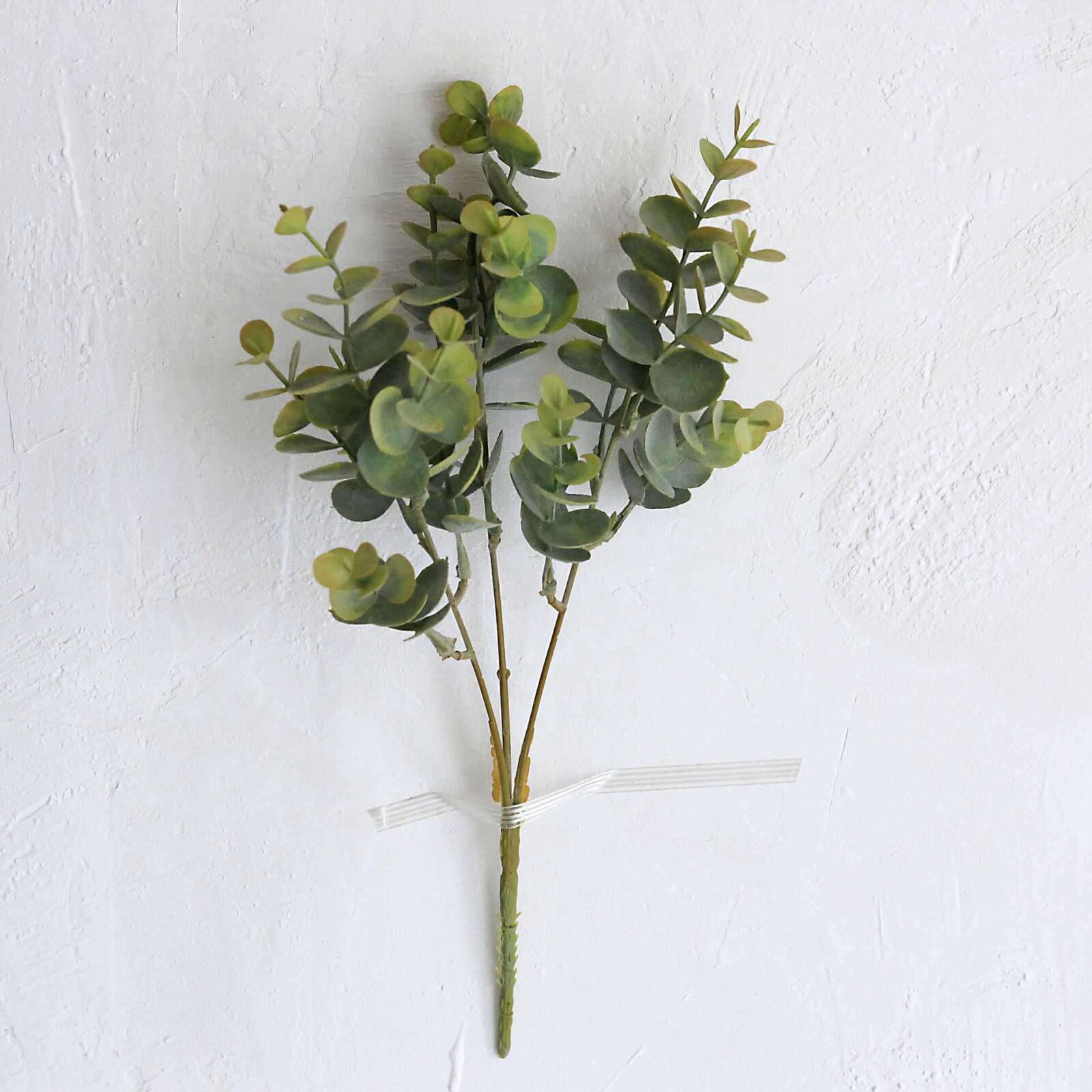 Green Eucalyptus Bush - Image 3