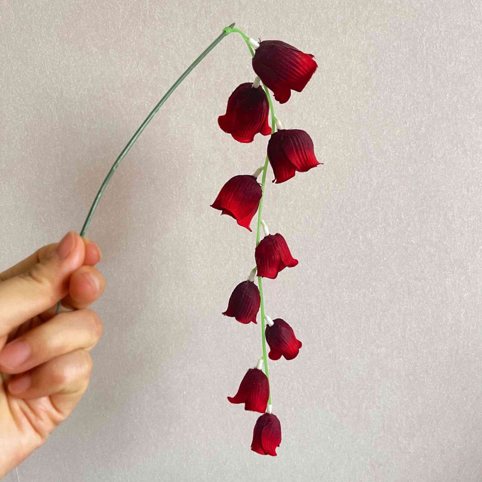 Einzelne kleine Maiglöckchenblüte - Bild 4
