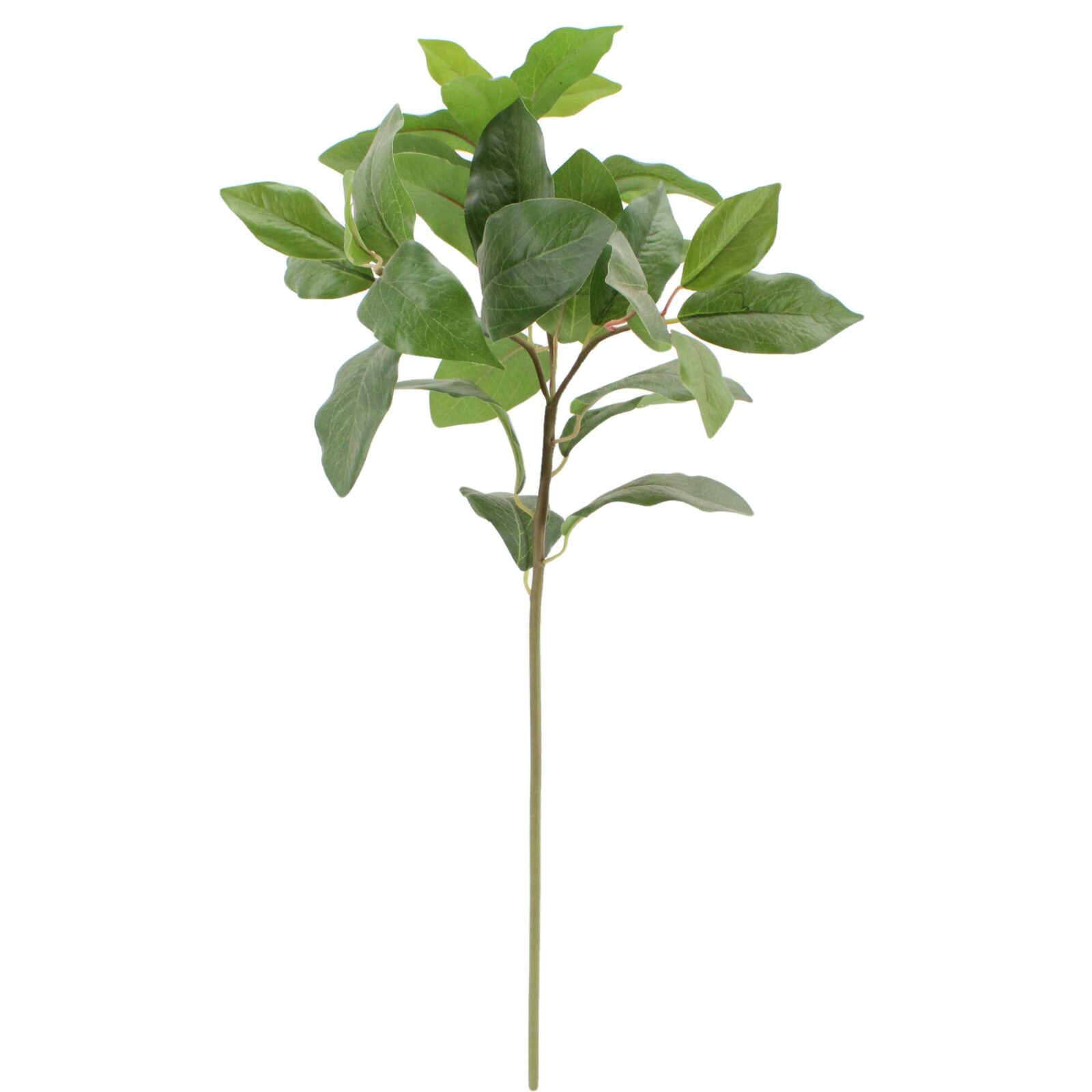 Green Laurel Leaf Artificial Bay Leaf Spray