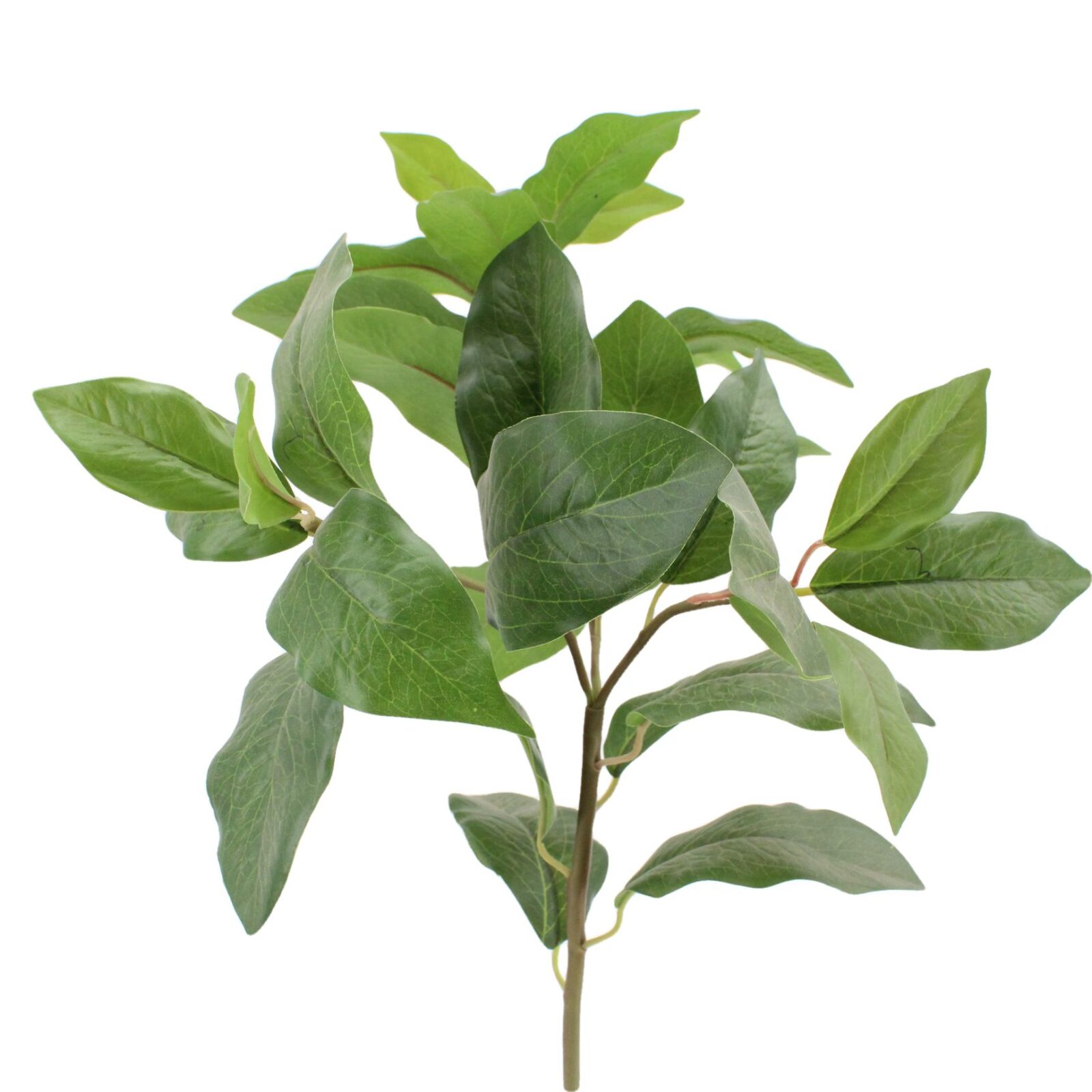 Green Laurel Leaf Artificial Bay Leaf Spray - Image 3