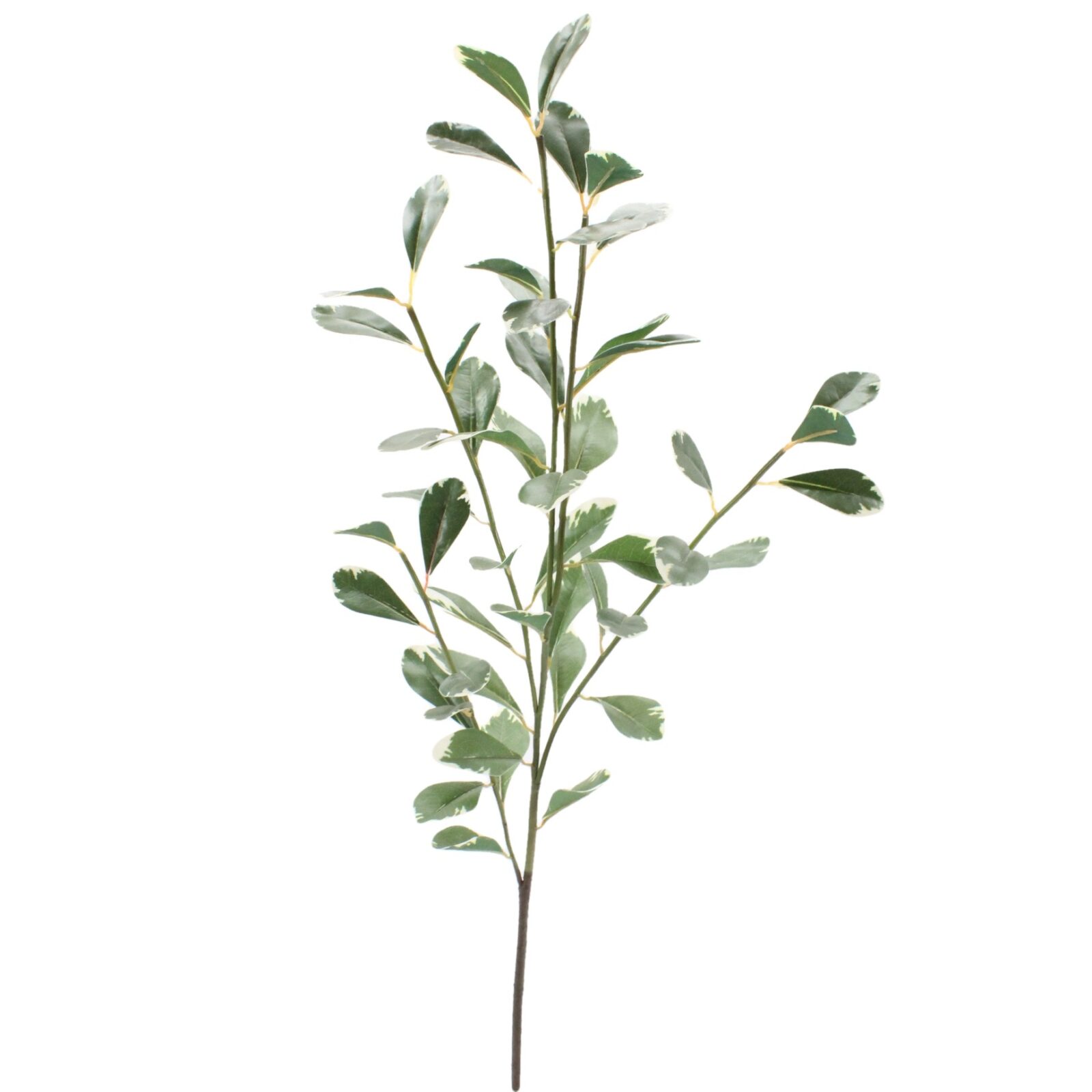Faux Green Variegated Leaf Spray