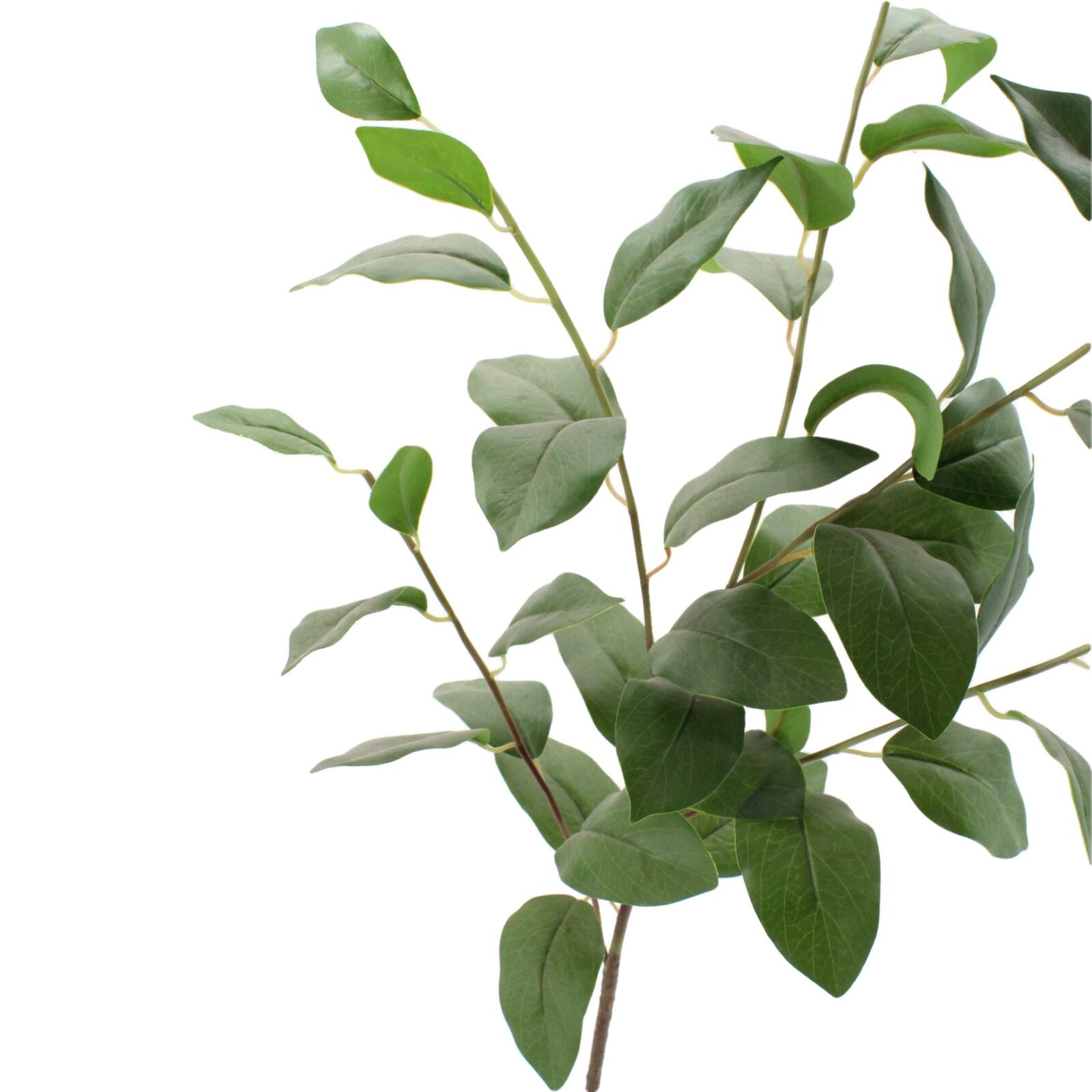 Green Laurel Leaf Artificial Spray（Set of 5） - Image 2