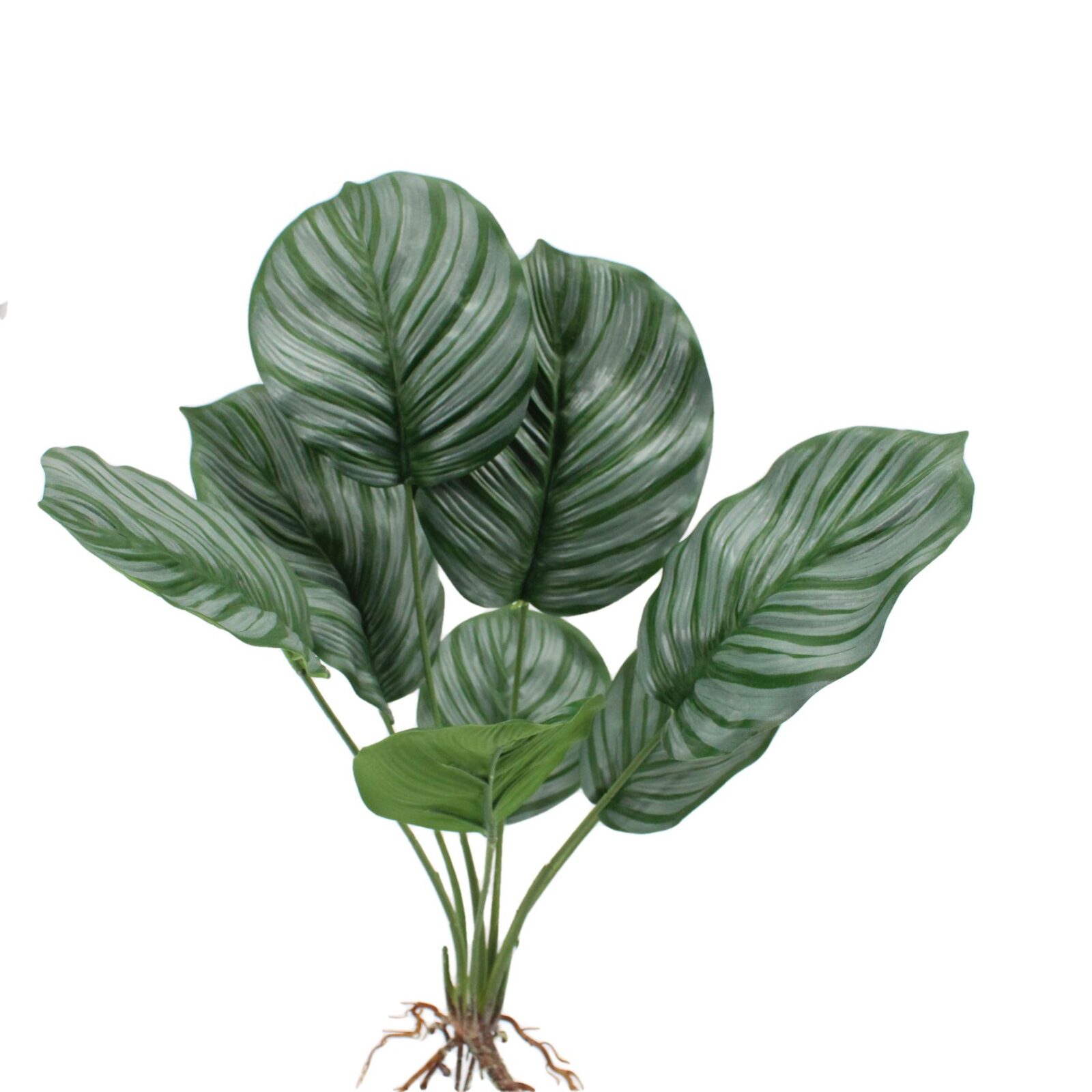 18.9" Artificial Calathea Plant Bush with Root - Image 8