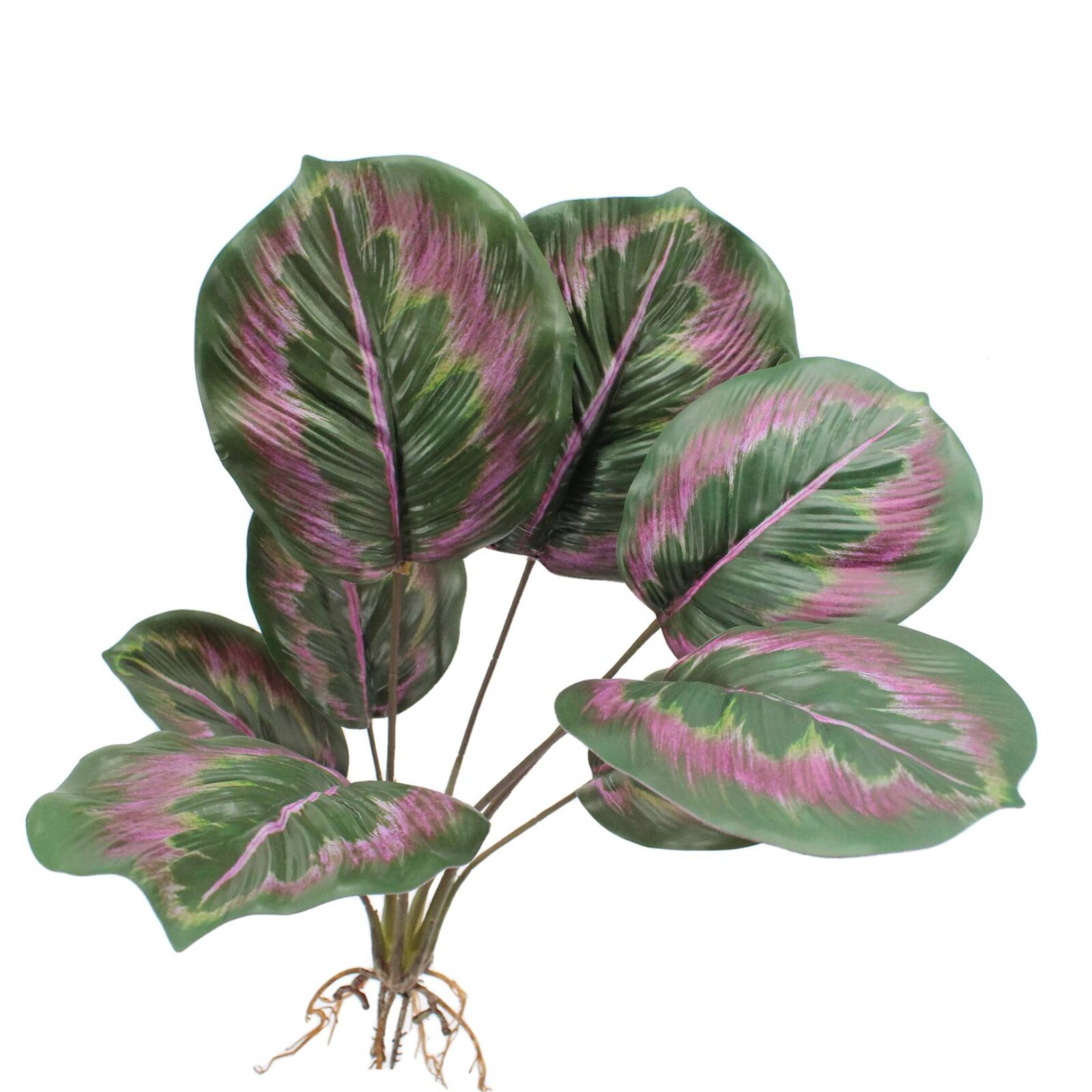 18.9" Artificial Calathea Plant Bush with Root - Image 7