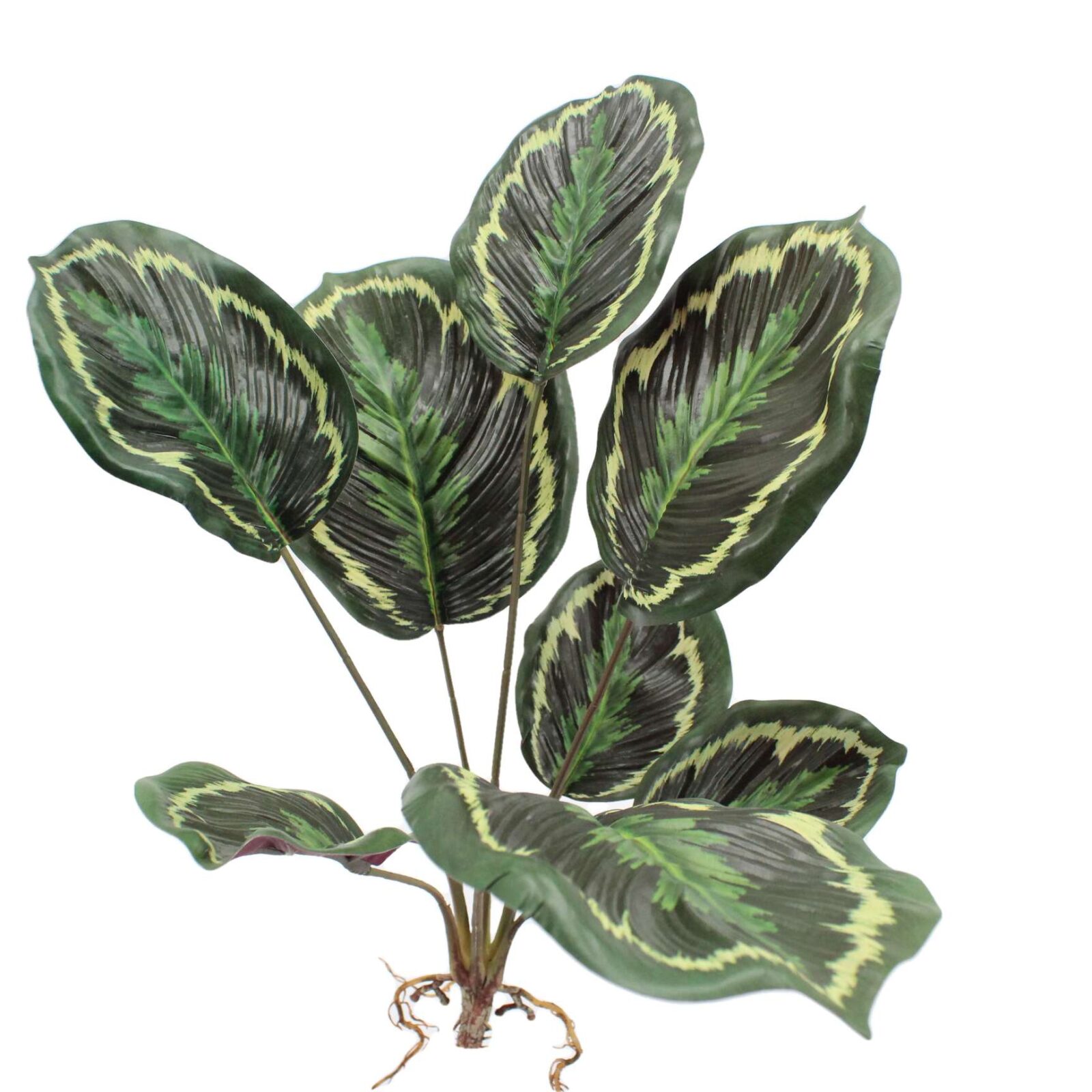 18.9" Artificial Calathea Plant Bush with Root - Image 5