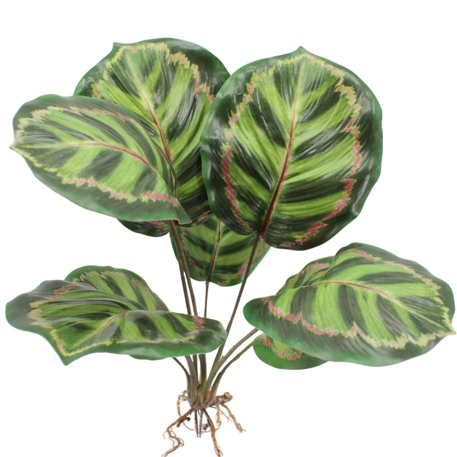 18.9" Artificial Calathea Plant Bush with Root - Image 2