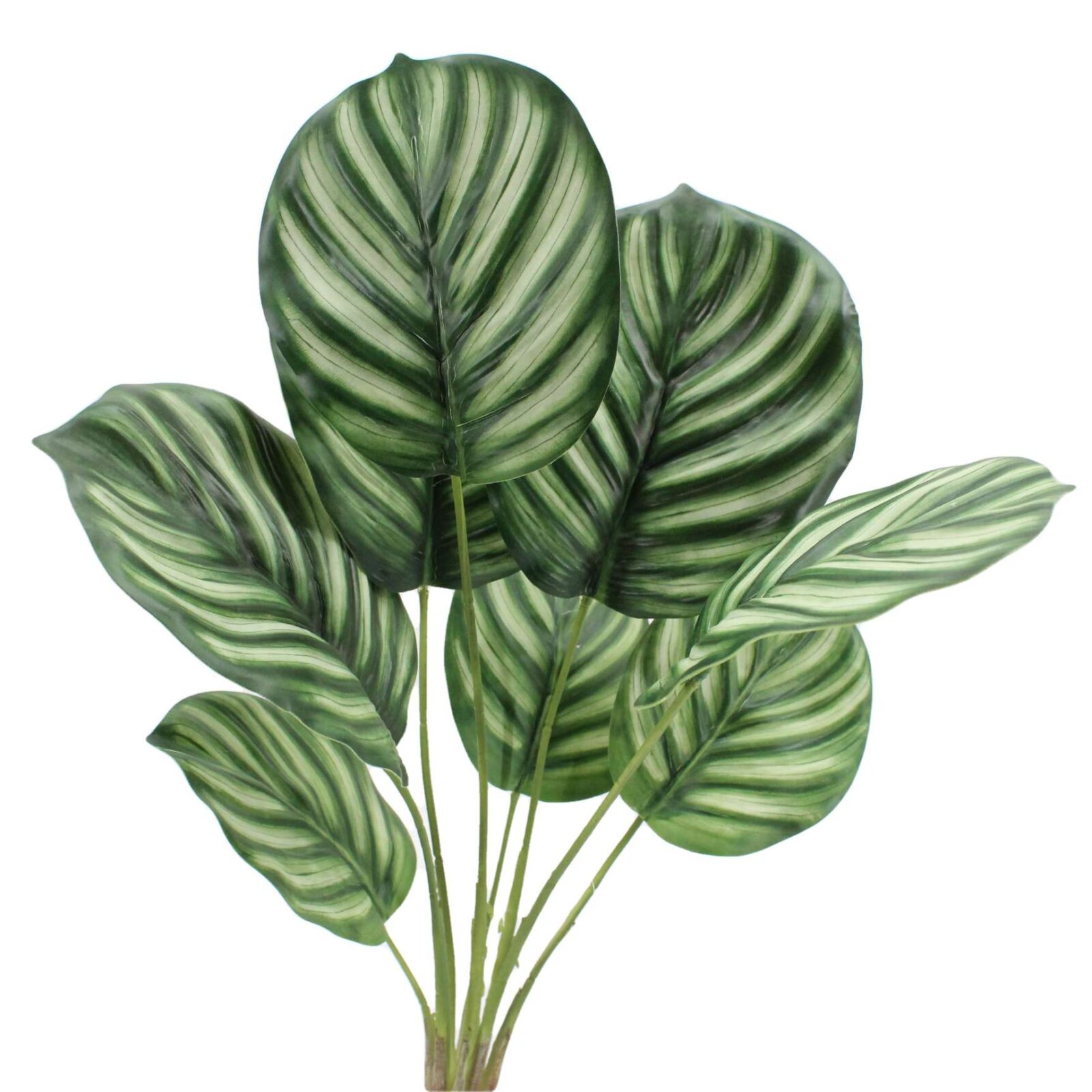 18.9" Artificial Calathea Plant Bush with Root