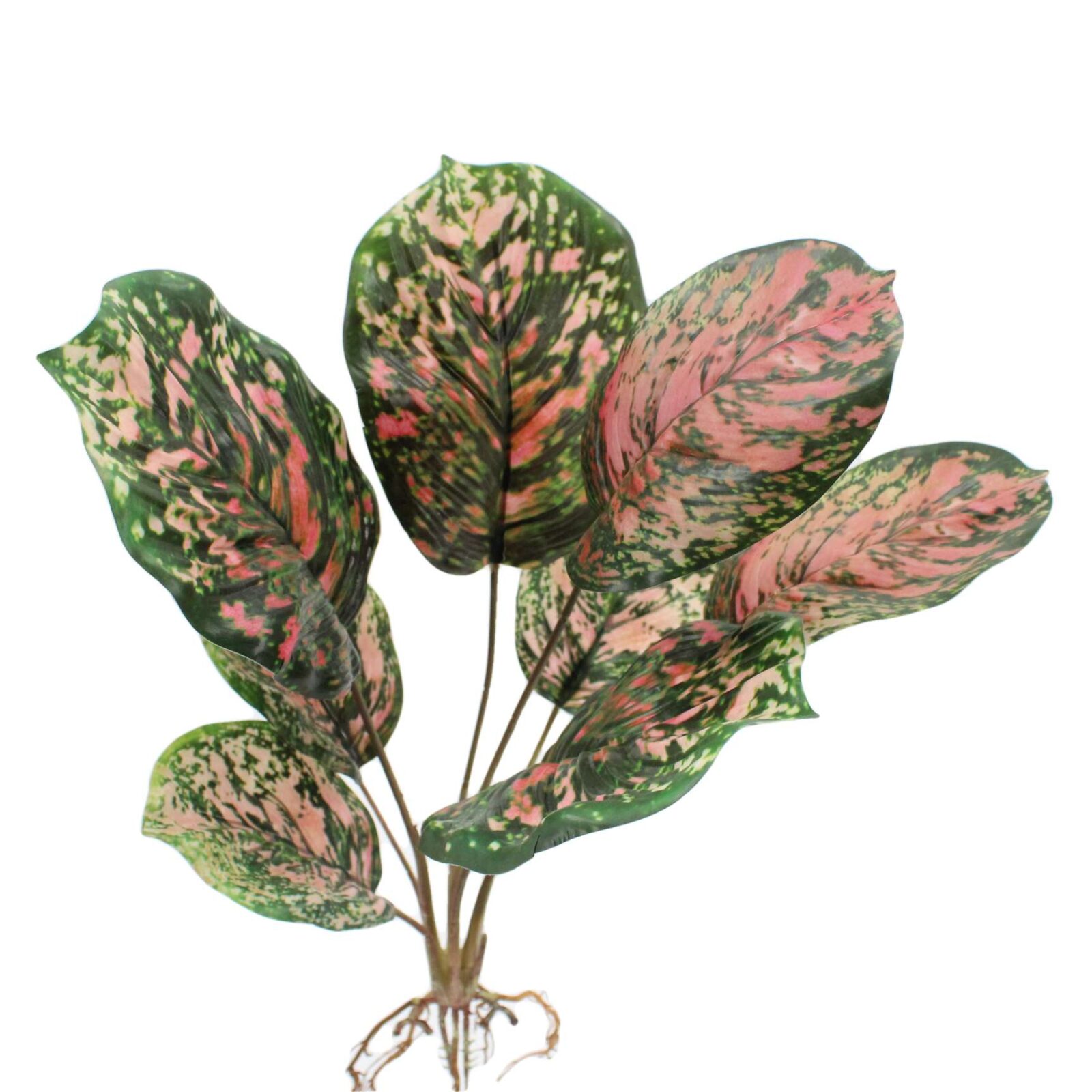 18.9" Artificial Calathea Plant Bush with Root - Image 3