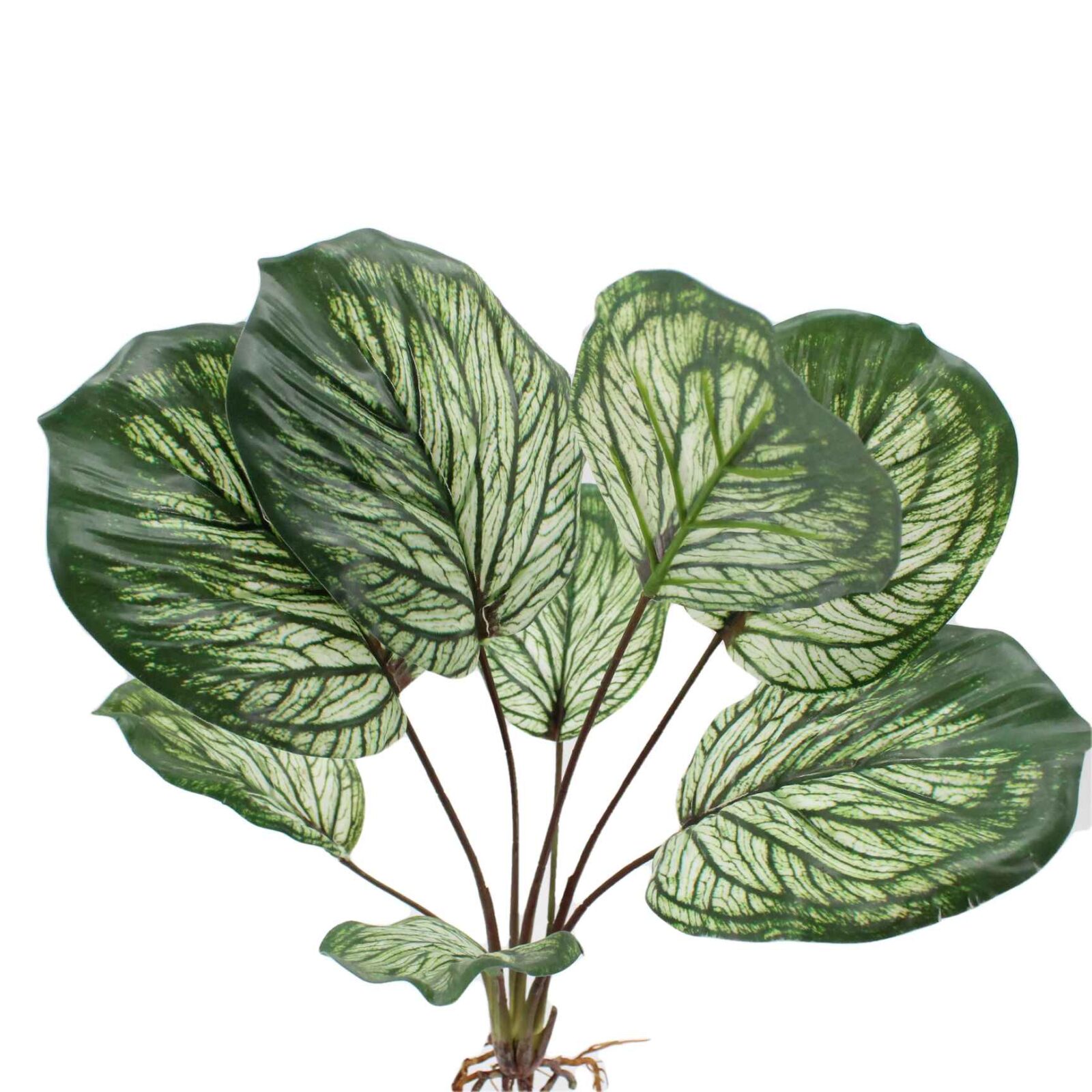 18.9" Artificial Calathea Plant Bush with Root - Image 4