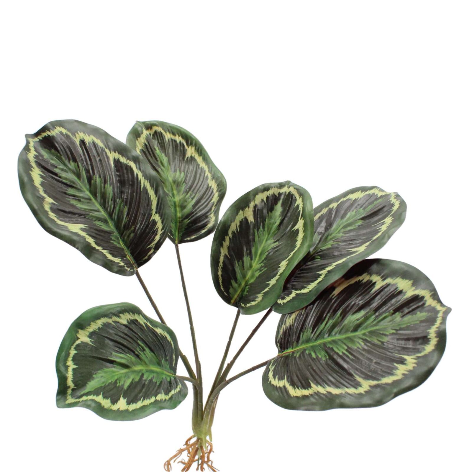 12.6" Künstlicher Calathea-Pflanzenbusch mit Wurzel - Bild 2