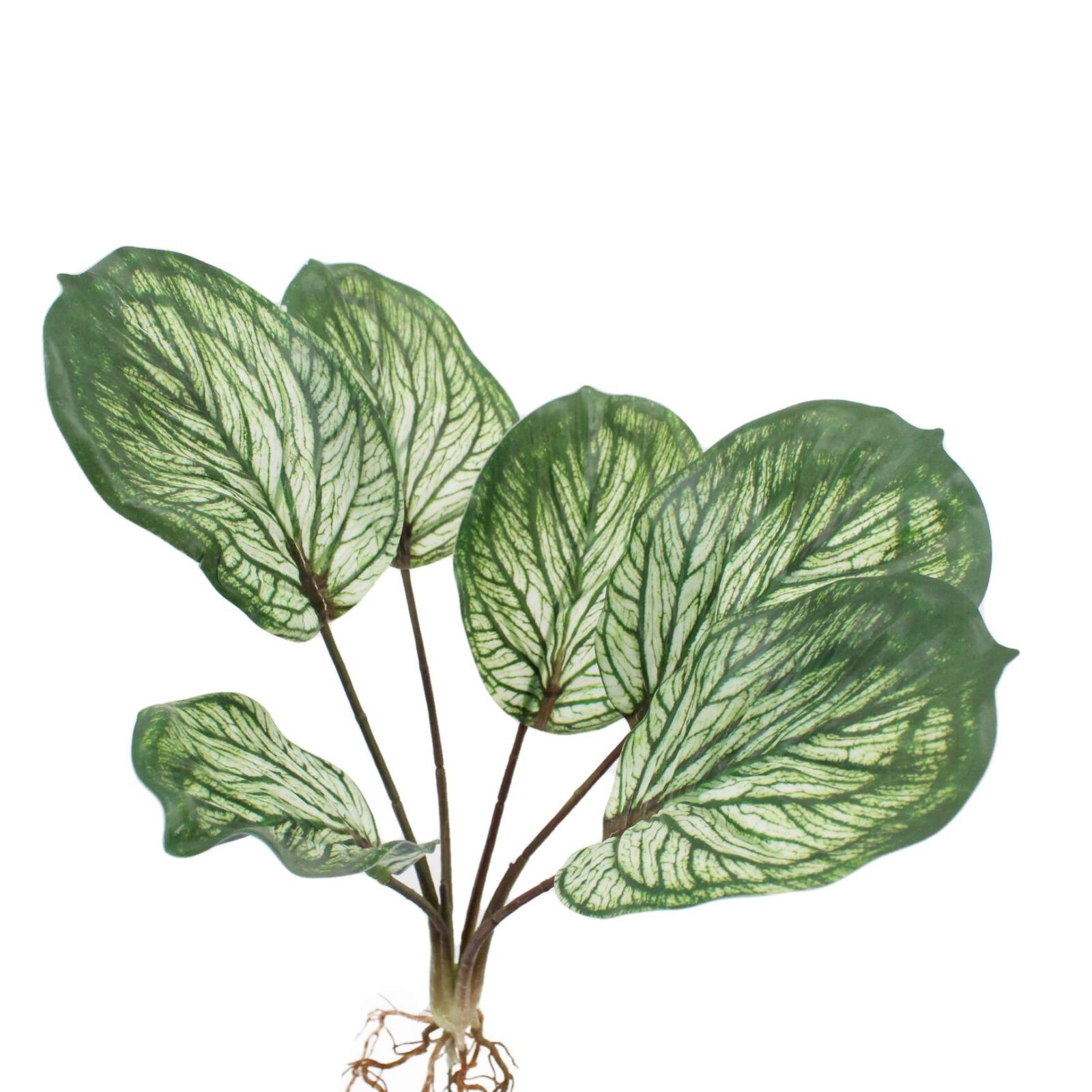 12.6" Künstlicher Calathea-Pflanzenbusch mit Wurzel - Bild 6