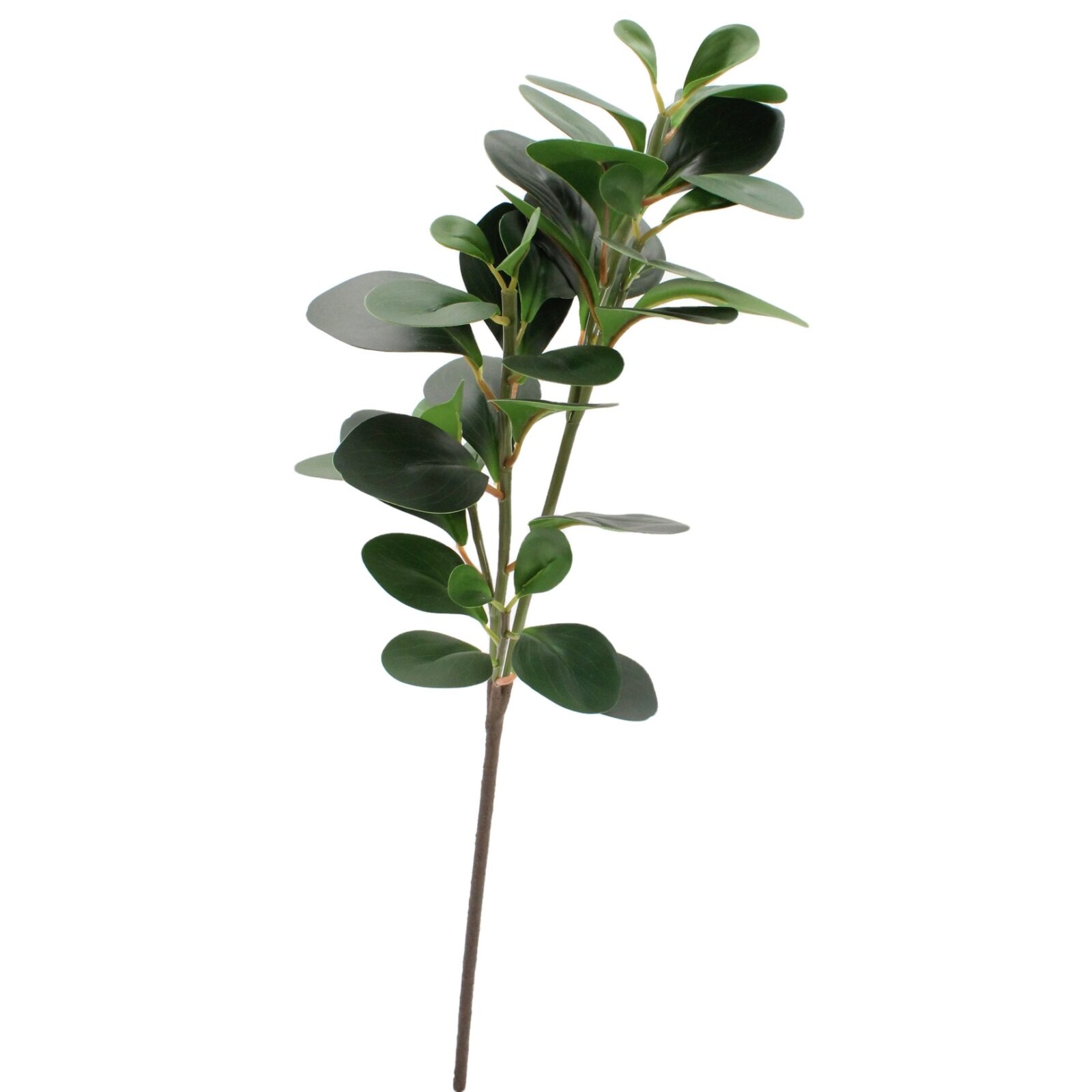 Künstlicher Peperomia-Obtusifolia-Zweig
