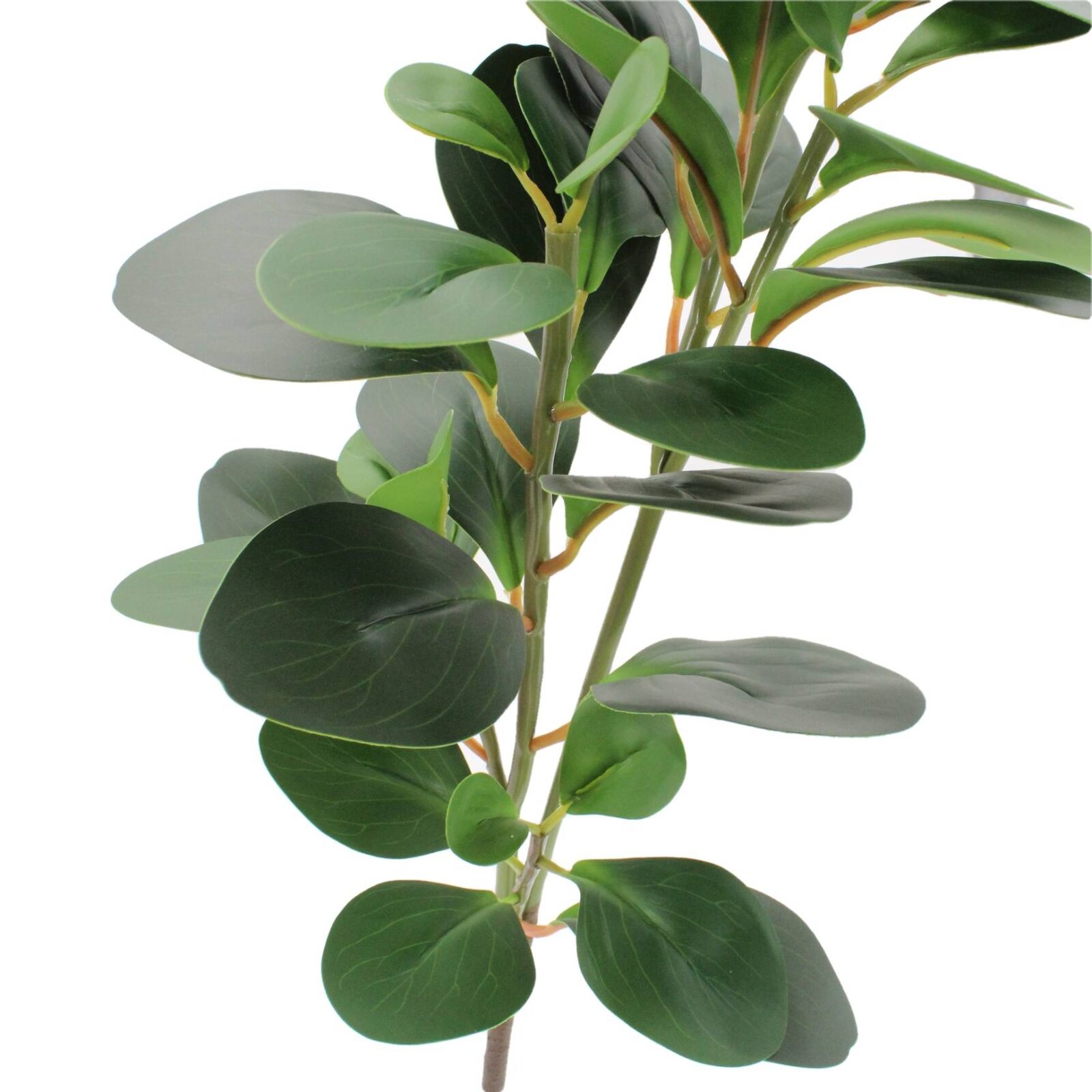 Zweig der künstlichen Peperomia Obtusifolia - Bild 2