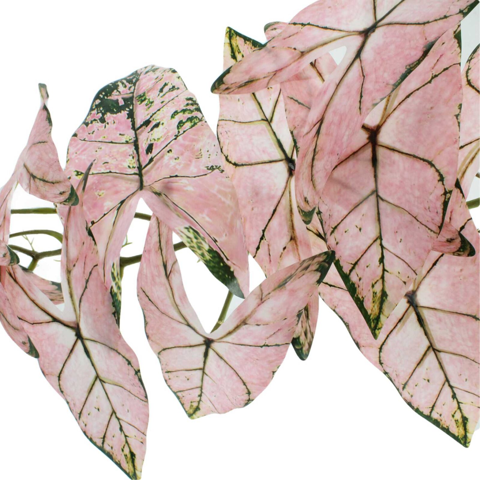 67" Hanging Artificial Caladium Arrowhead Plant - Image 5