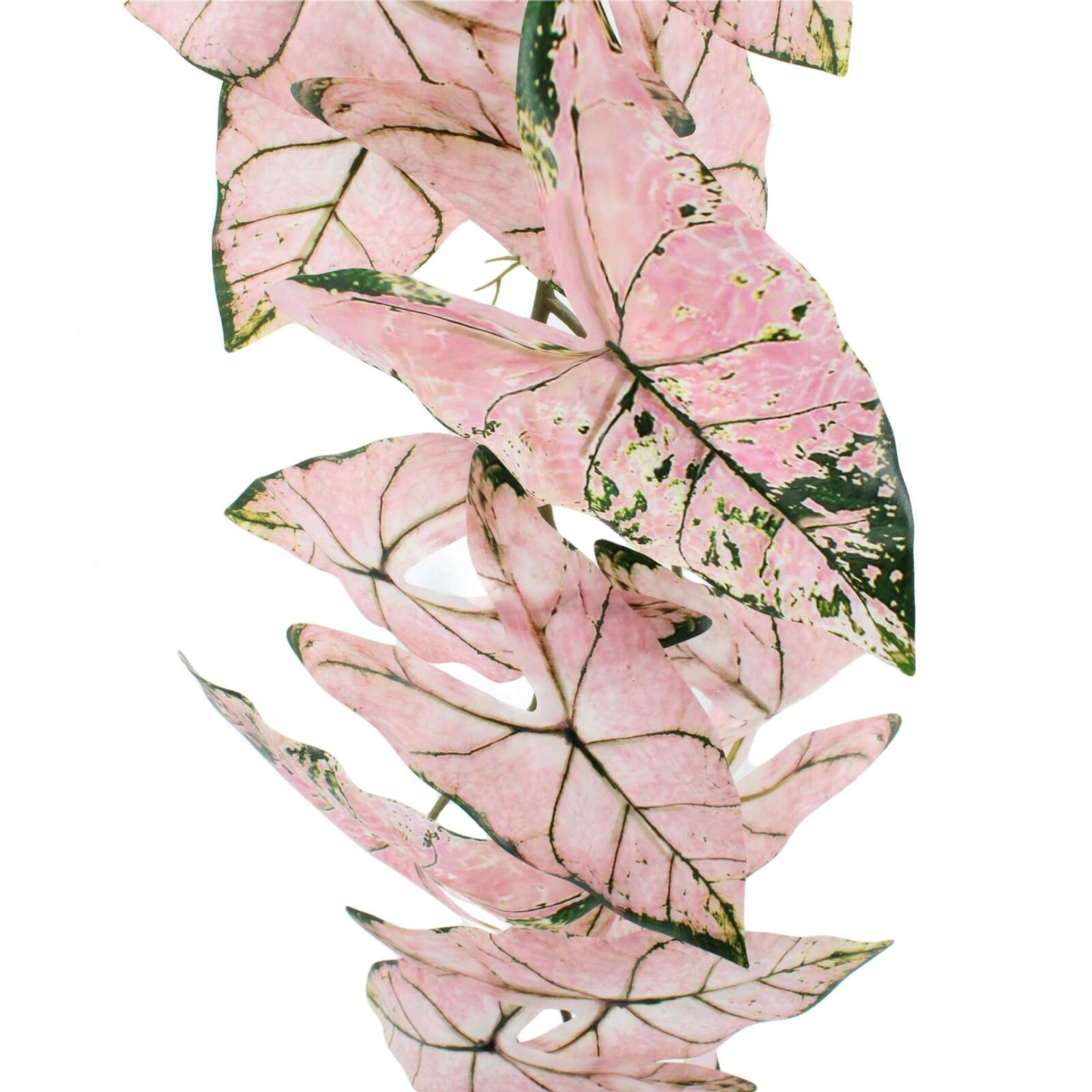 Artificial Hanging Plant Variegated Alocasia Garland - Image 6