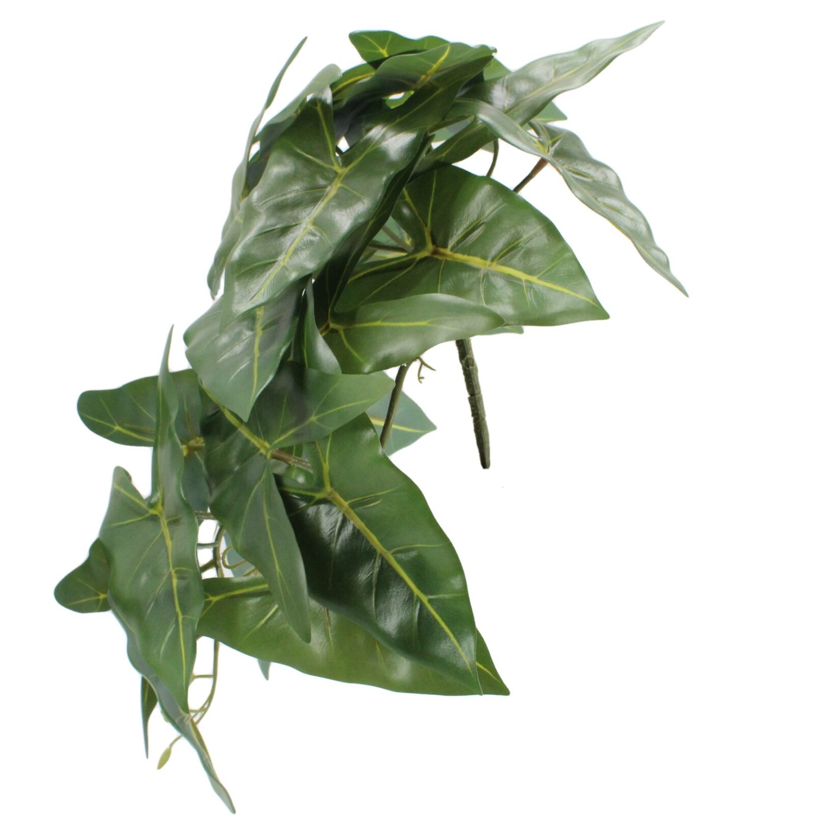 Wall Mounted Lifelike Artificial Caladium Leaves