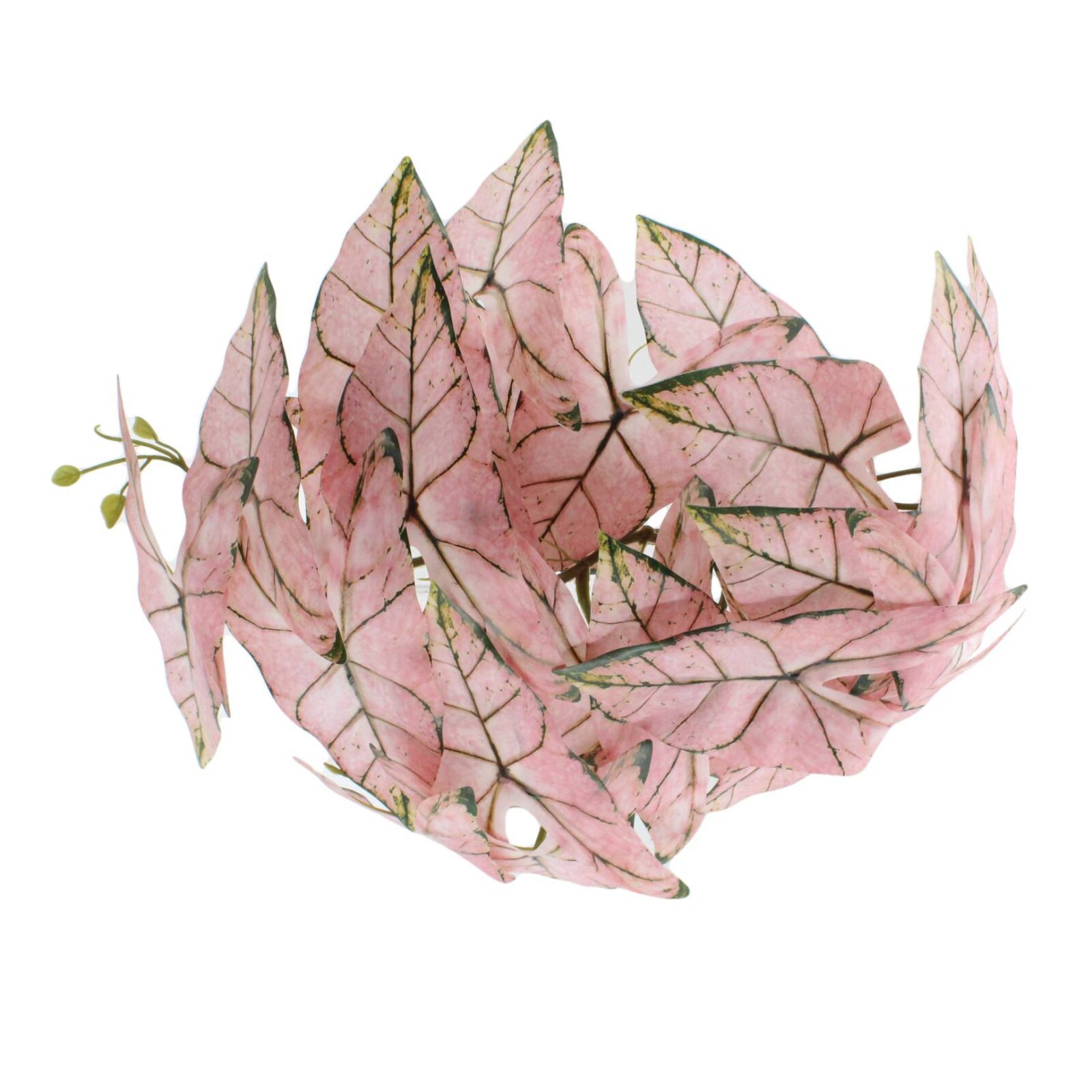 Wall Mounted Lifelike Artificial Caladium Leaves - Image 7