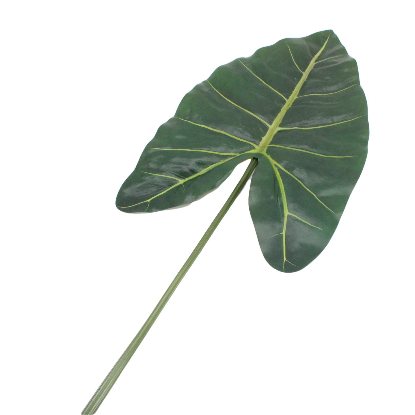 Artificial Variegated Caladium Bicolor Leaf - Image 6