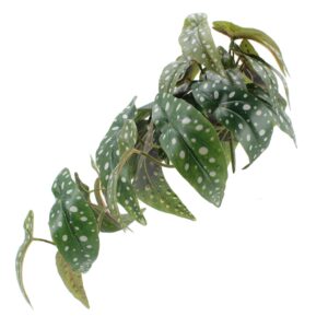 Faux Begonia Hanging Plant