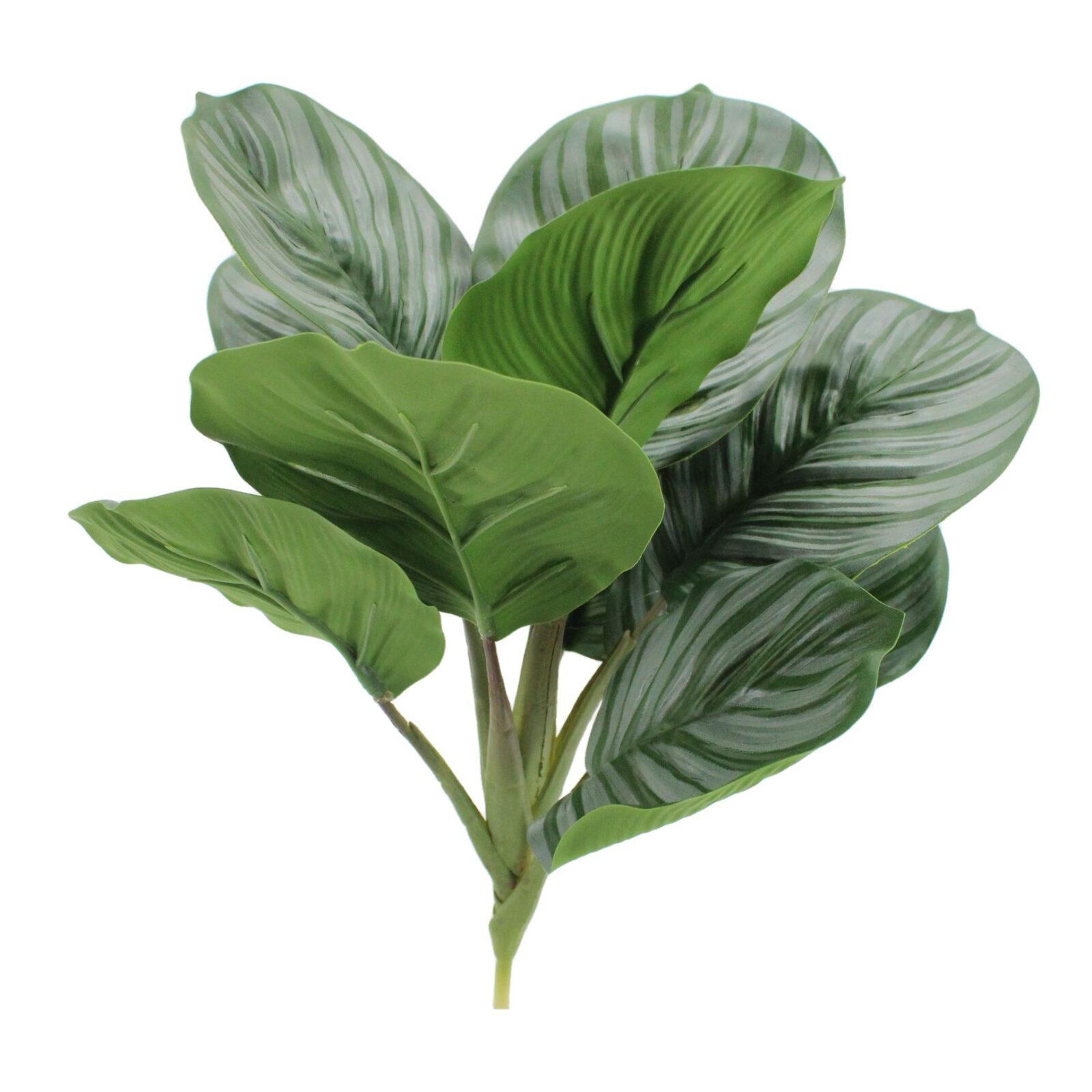 Lifelike Artificial Apple Arrowroot Calathea Bush