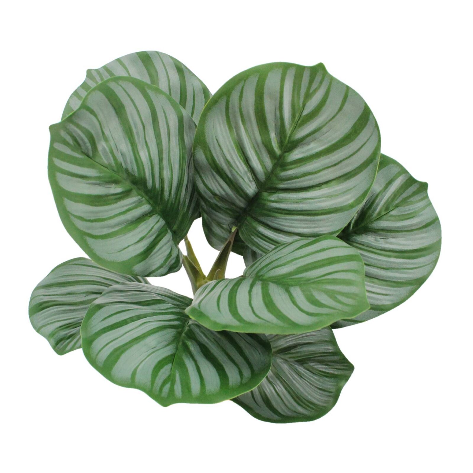 Lifelike Artificial Apple Arrowroot Calathea Bush - Image 2