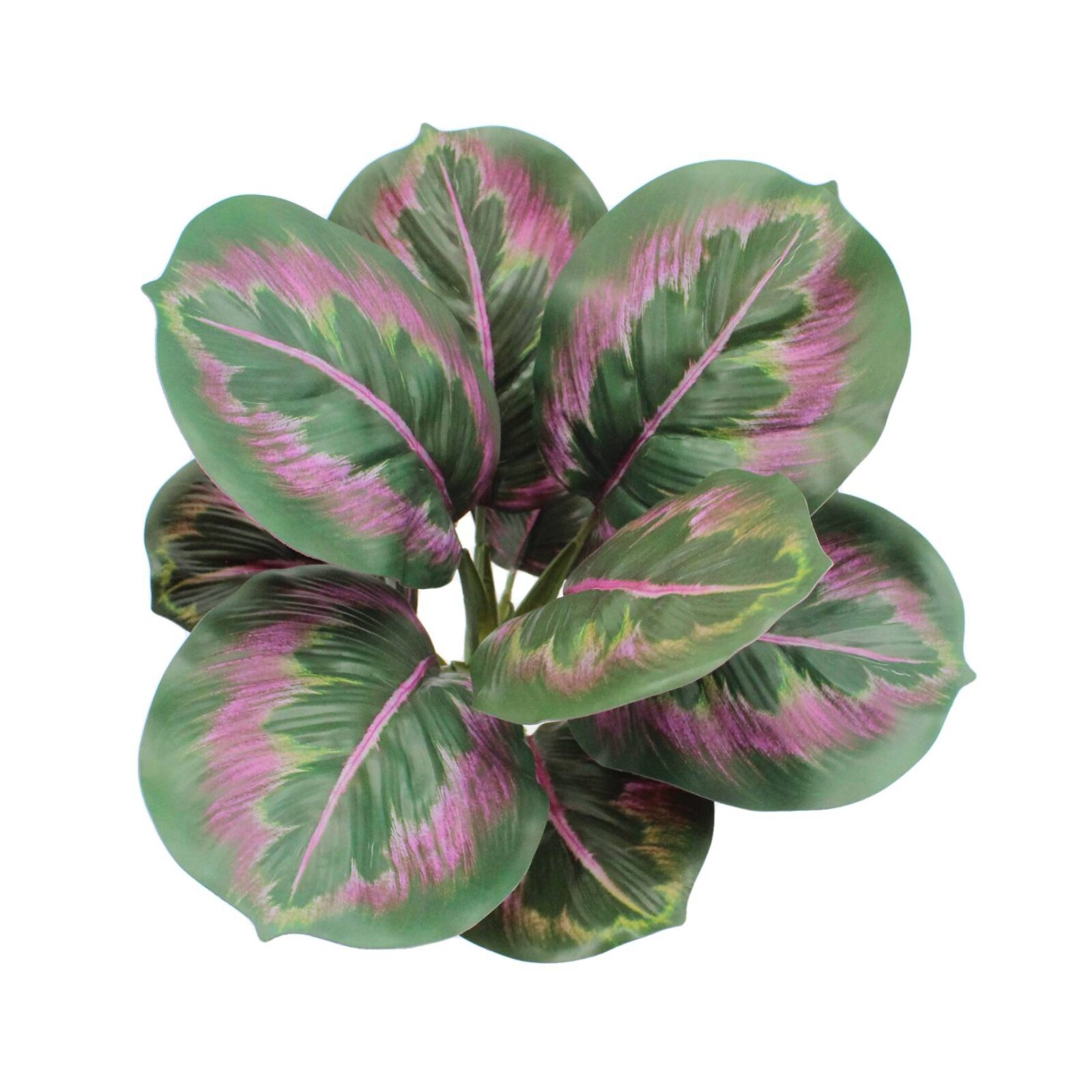 Lifelike Artificial Apple Arrowroot Calathea Bush - Image 3