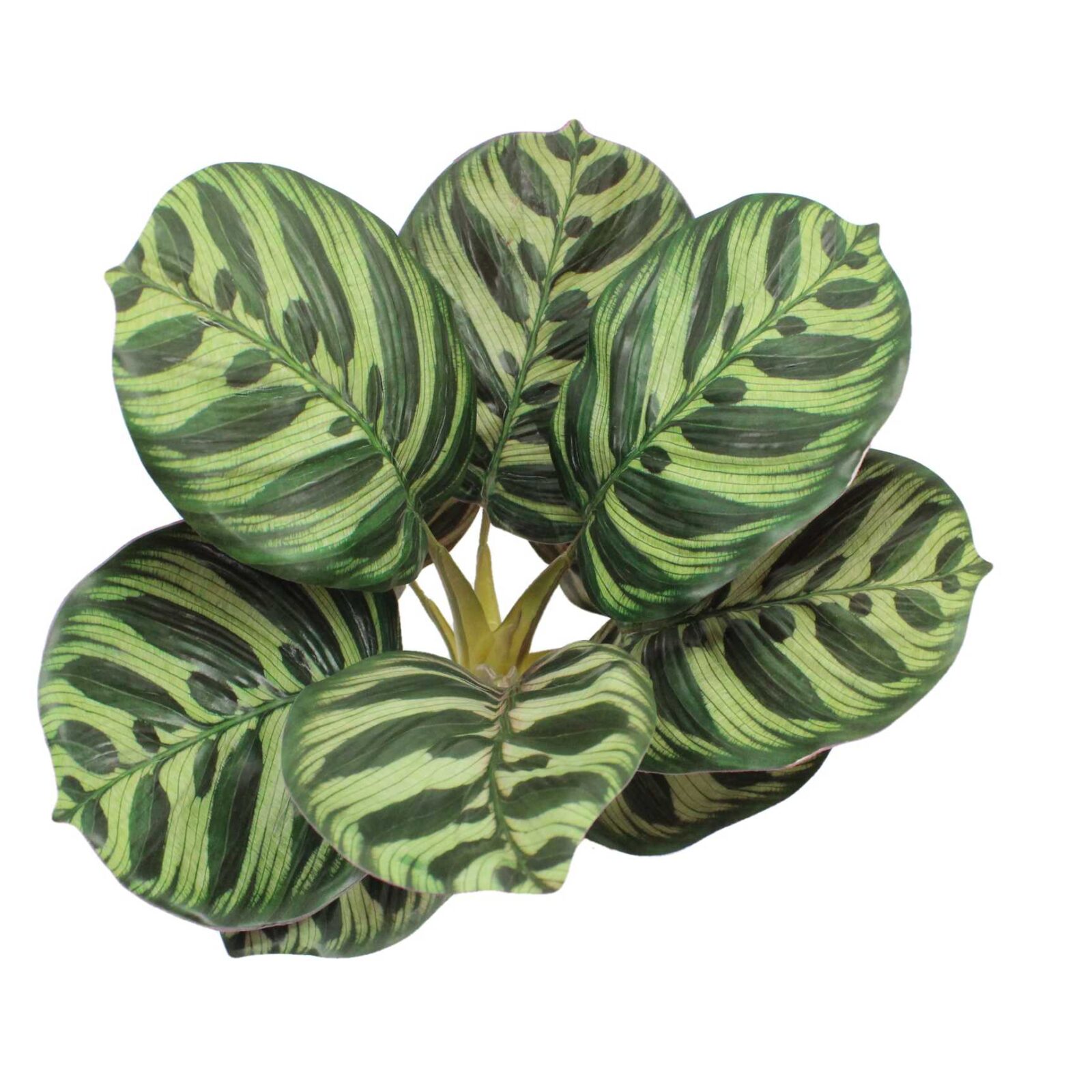 Lifelike Artificial Apple Arrowroot Calathea Bush - Image 4