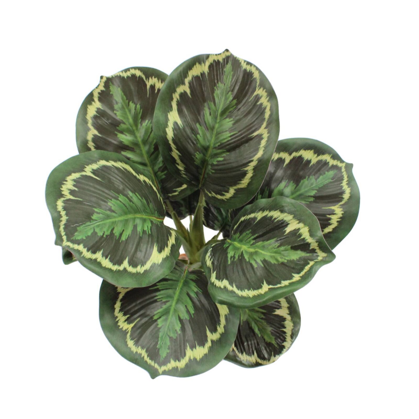 Lifelike Artificial Apple Arrowroot Calathea Bush - Image 5