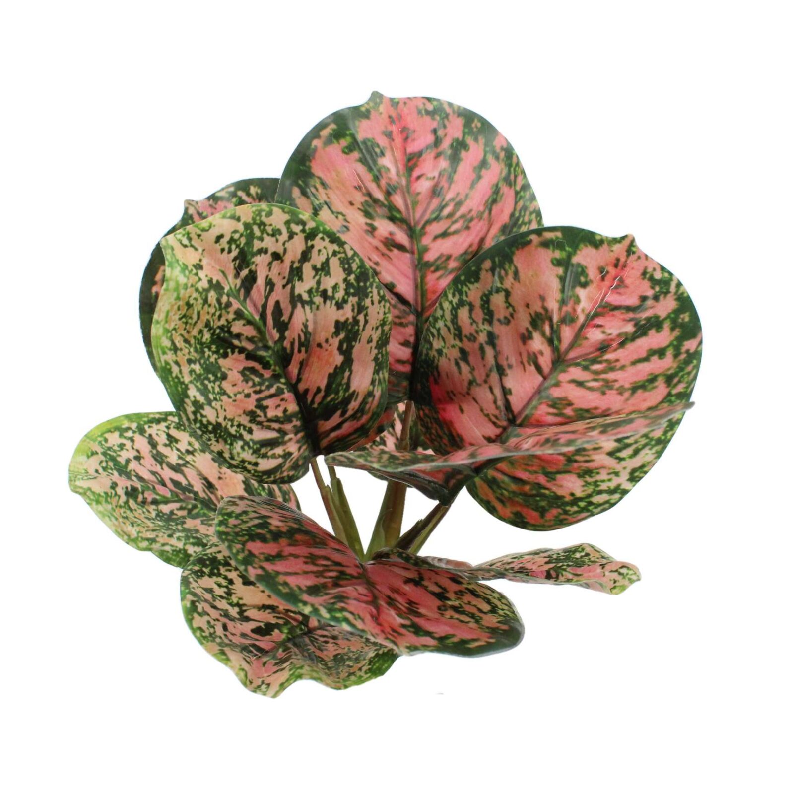 Lifelike Artificial Apple Arrowroot Calathea Bush - Image 7