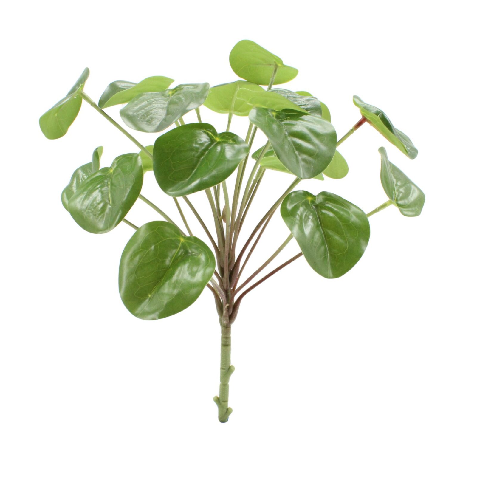Faux Pilea Peperomioides Bush