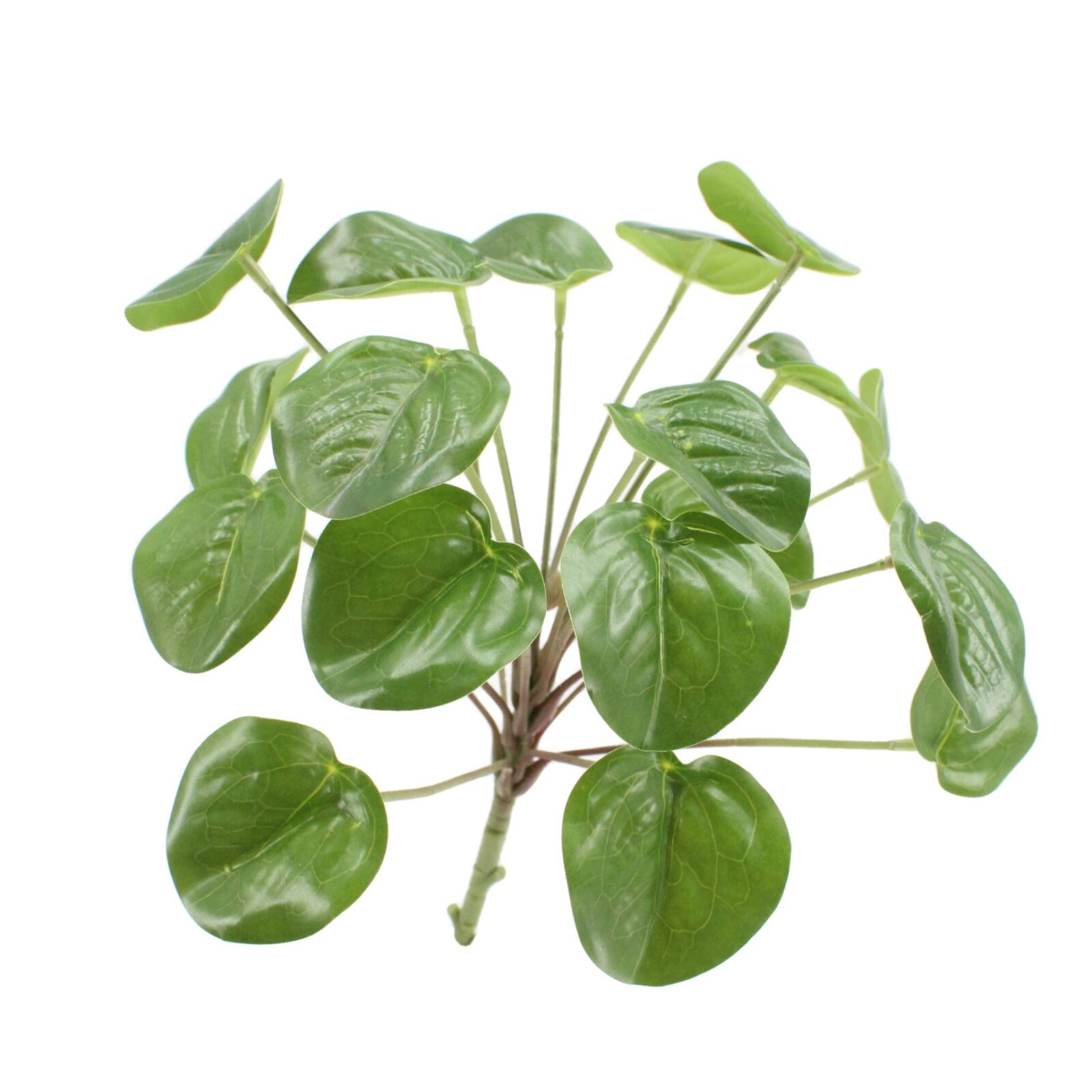 Faux Pilea Peperomioides Bush - Image 2