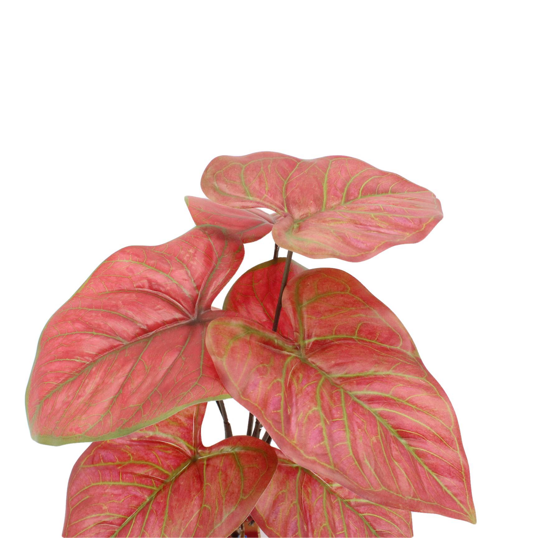 Tropical Caladium Artificial Plant Indoor