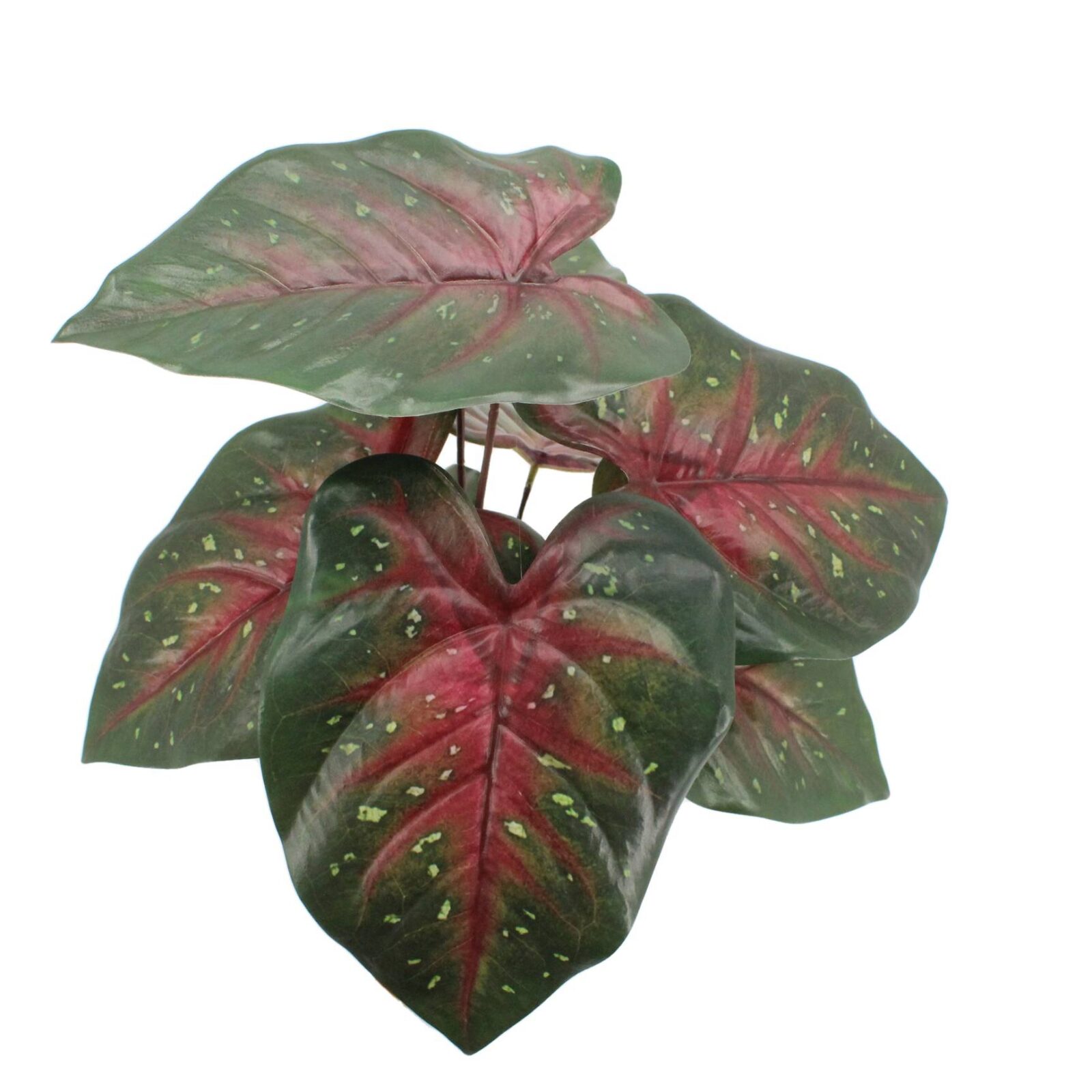 Tropical Caladium Artificial Plant Indoor