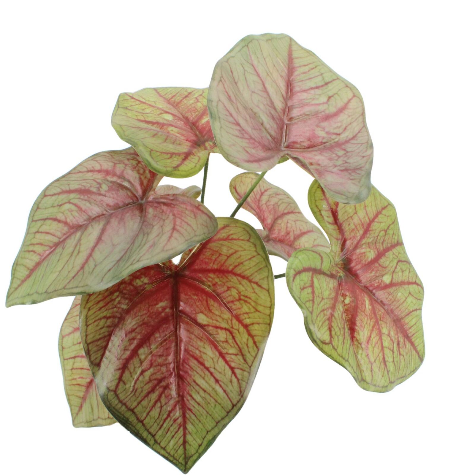 Tropical Caladium Artificial Plant Indoor