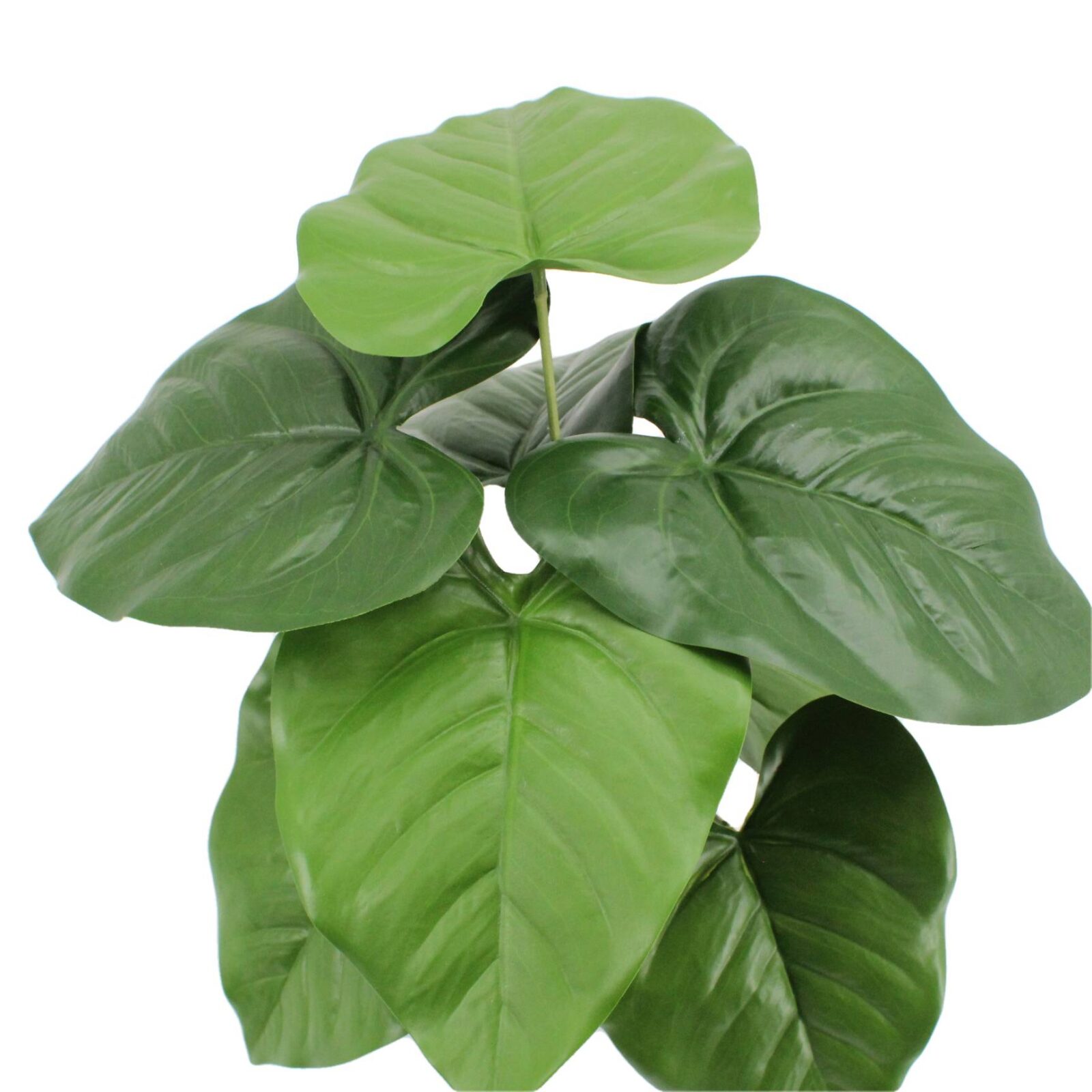 Tropical Caladium Artificial Plant Indoor