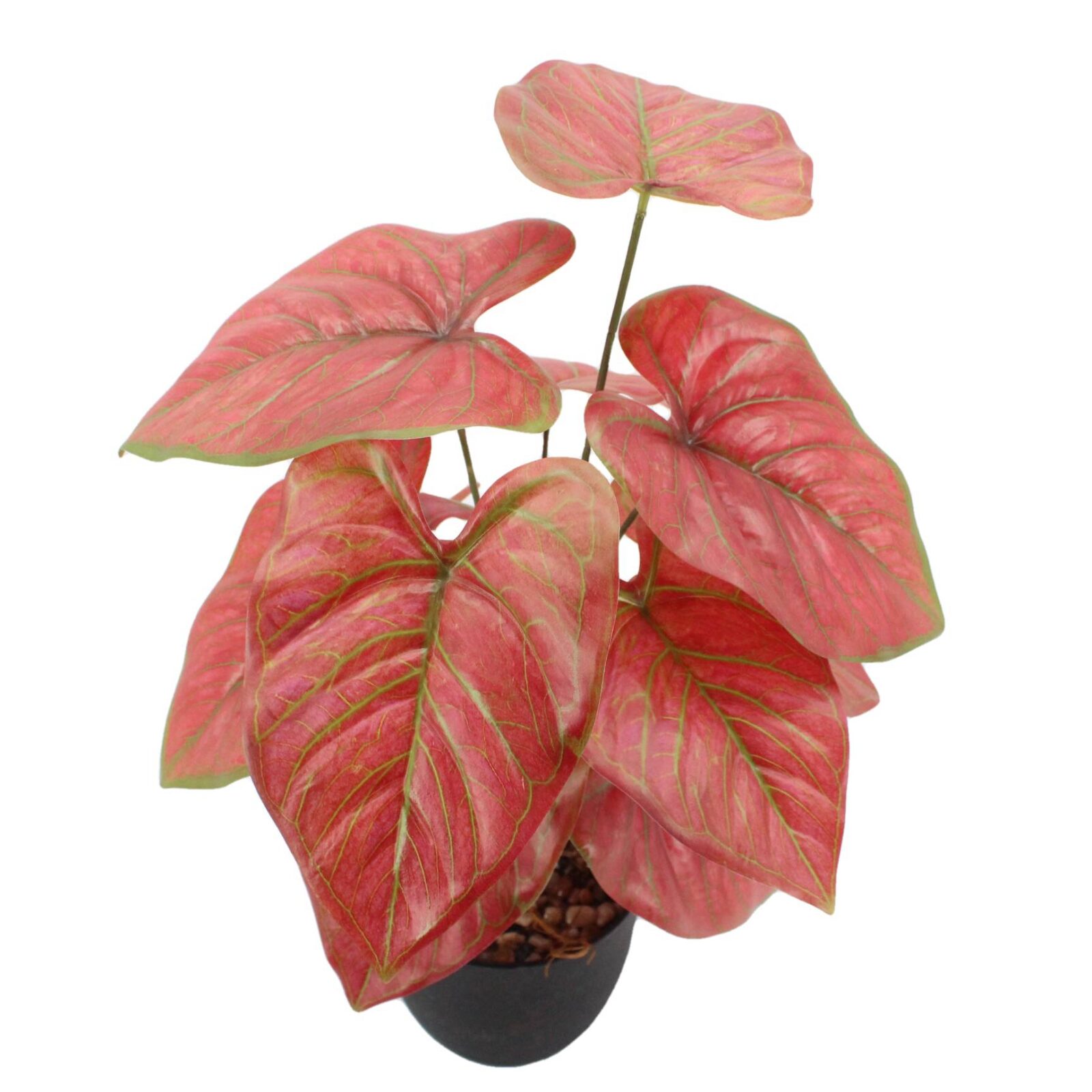 Small Artificial Caladium Plant - Image 3